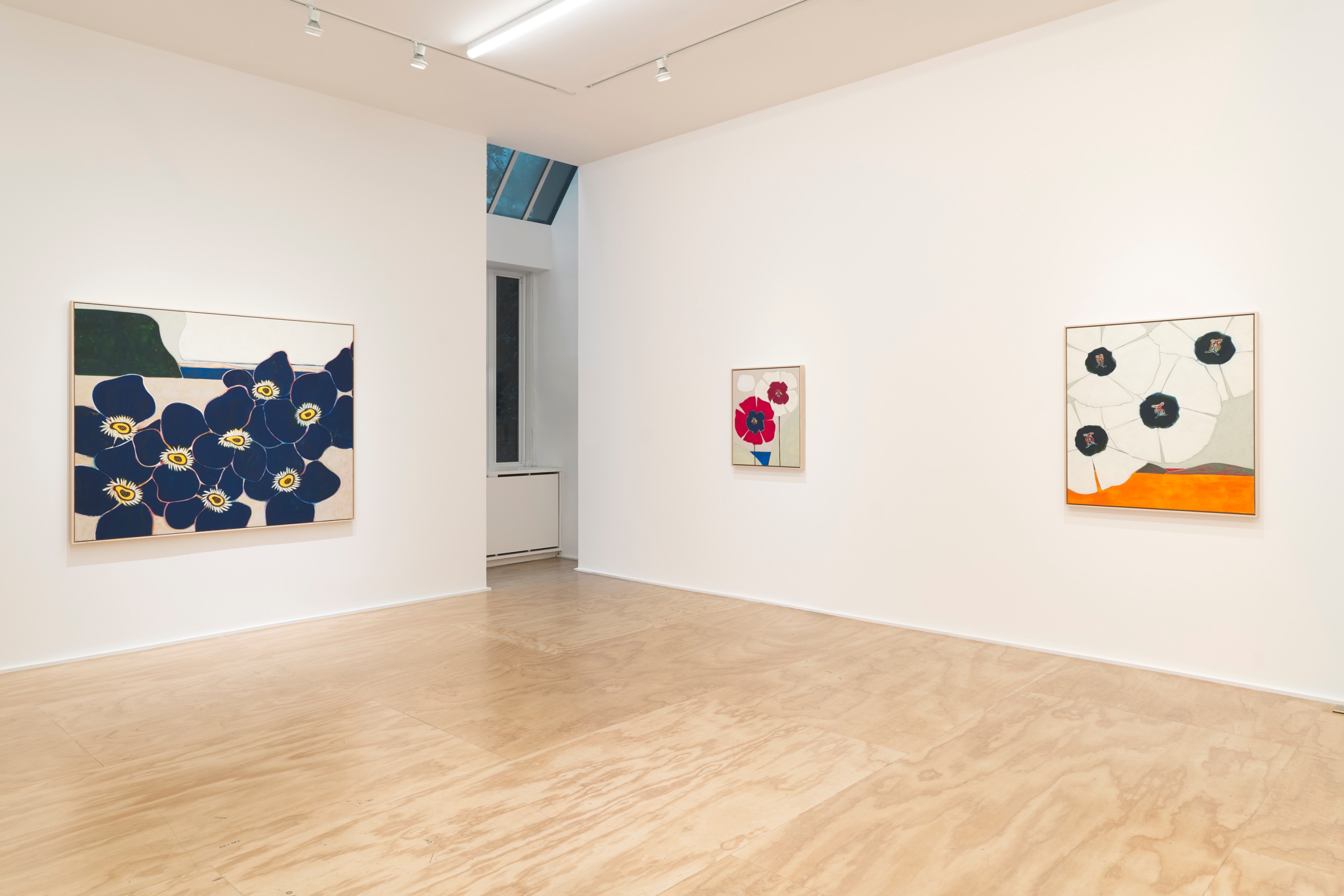 Installation view of Susumu Kamijo: Fish &amp; Flowers, Venus Over Manhattan, New York, 2025