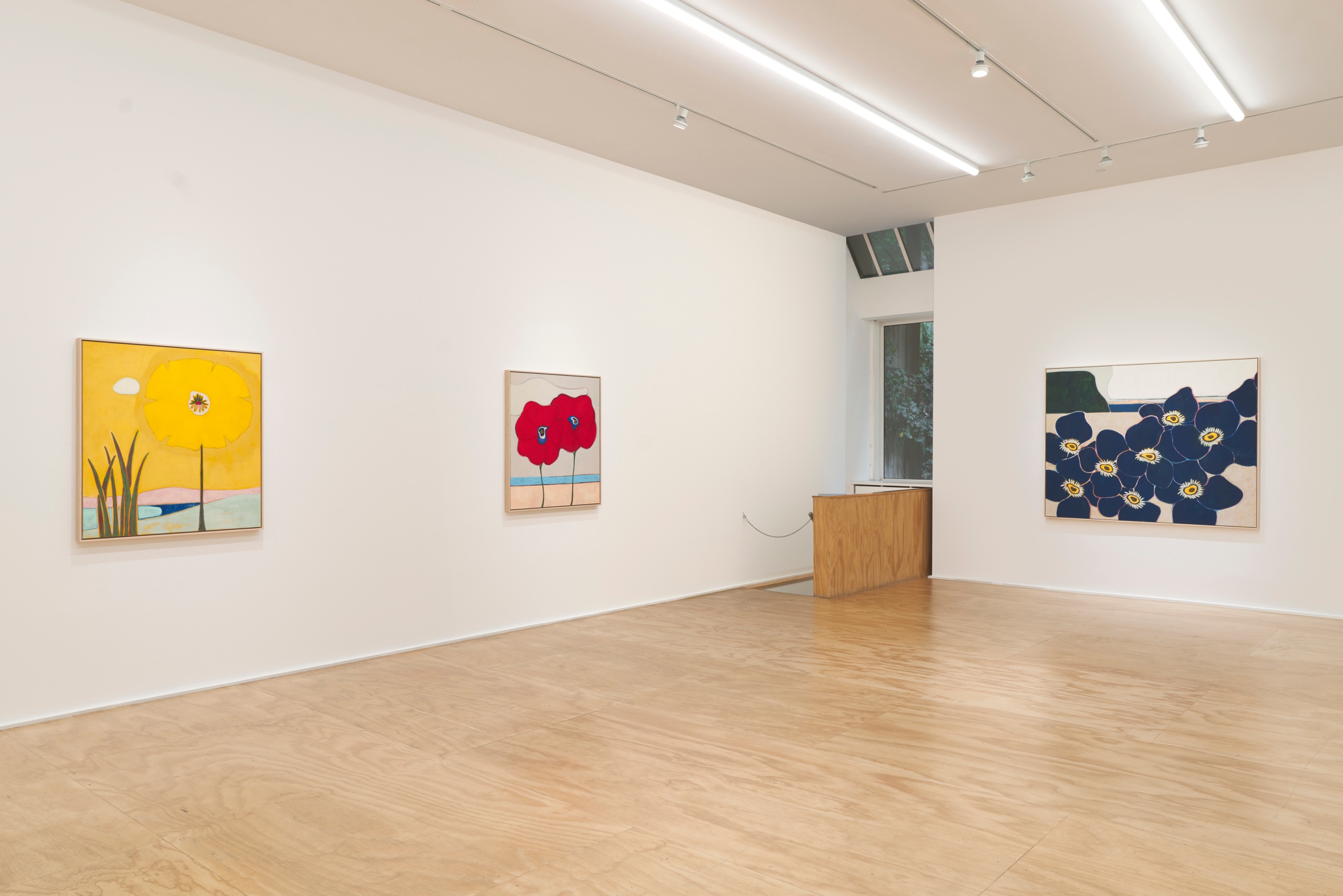 Installation view of Susumu Kamijo: Fish &amp; Flowers, Venus Over Manhattan, New York, 2025