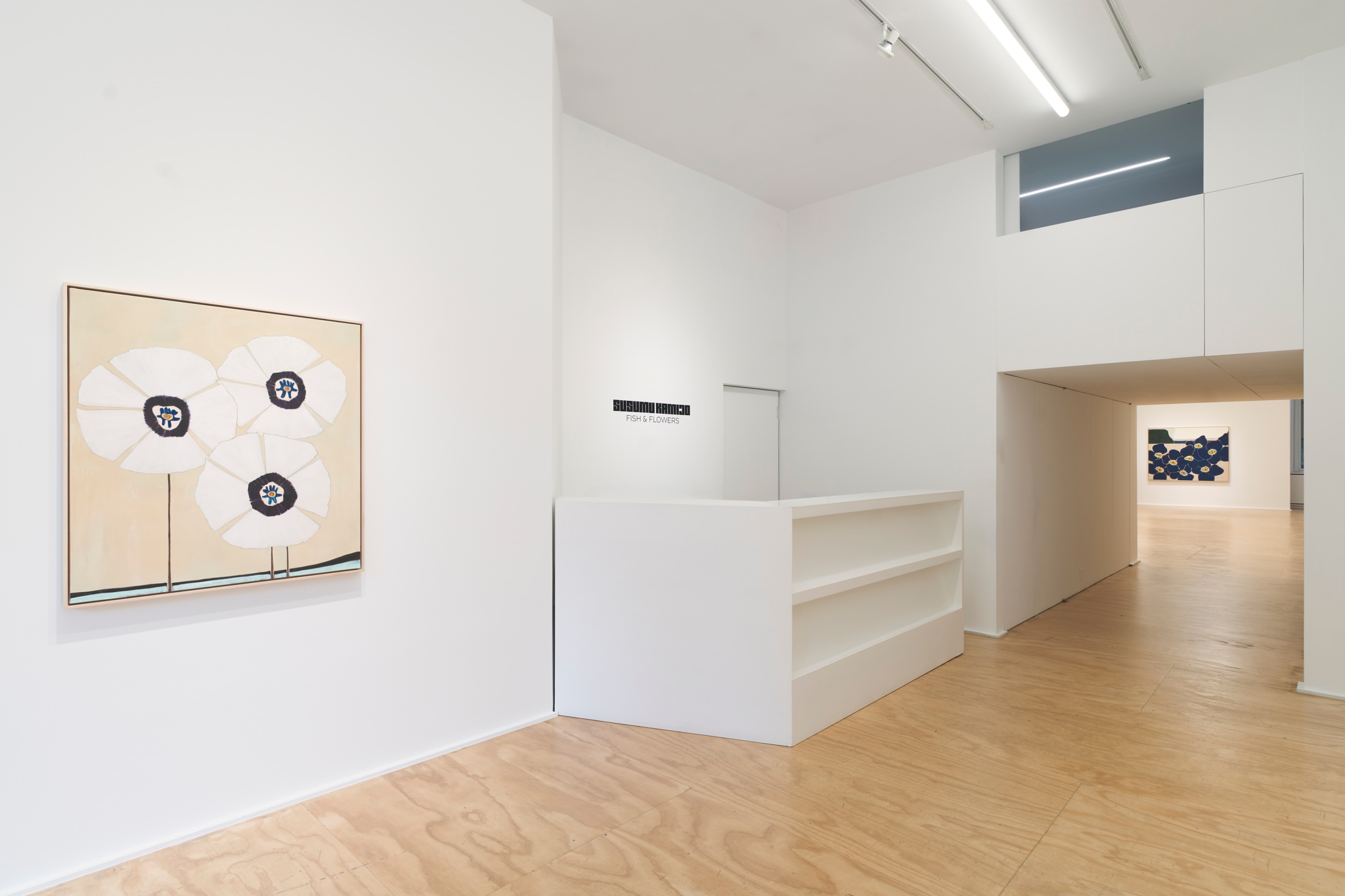 Installation view of Susumu Kamijo: Fish &amp; Flowers, Venus Over Manhattan, New York, 2025