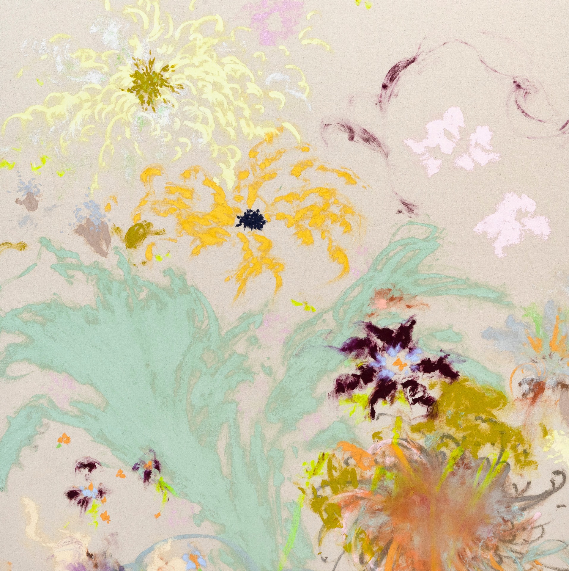 Colleen Herman, Auster, 2025