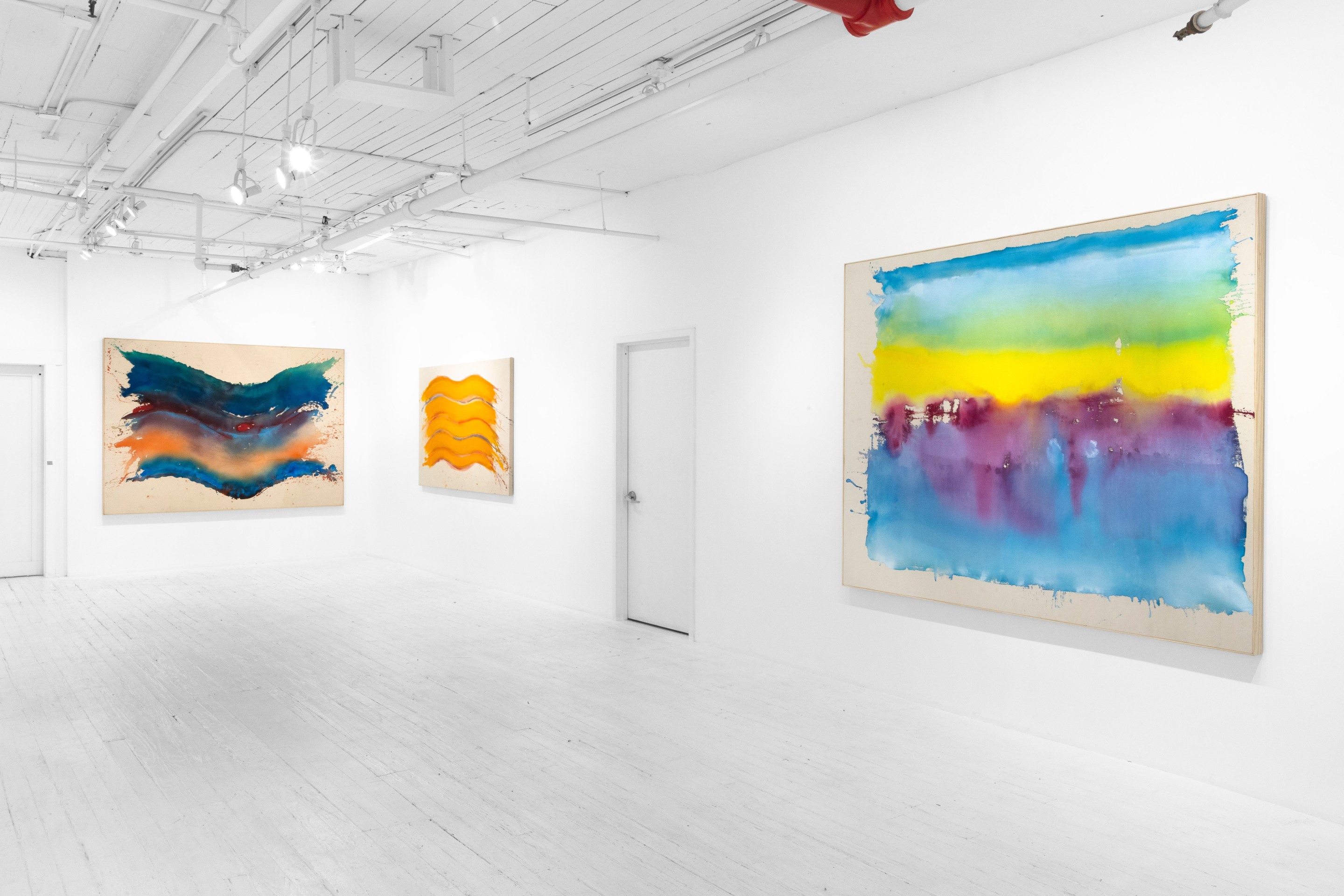 Pat Lipsky: Color World