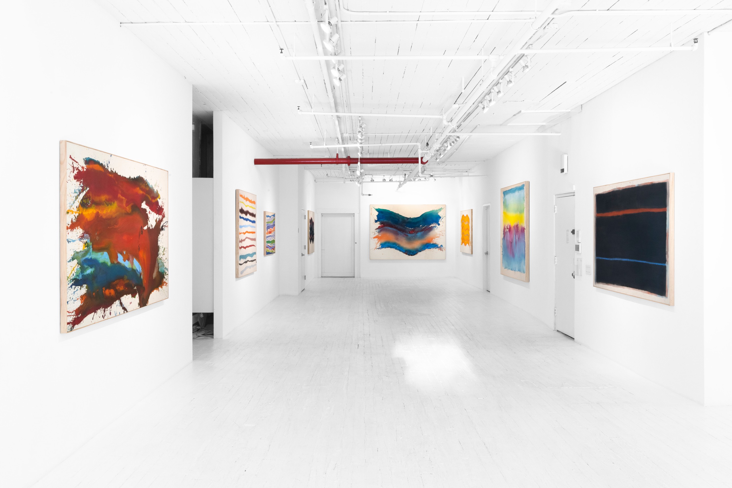 Pat Lipsky: Color World