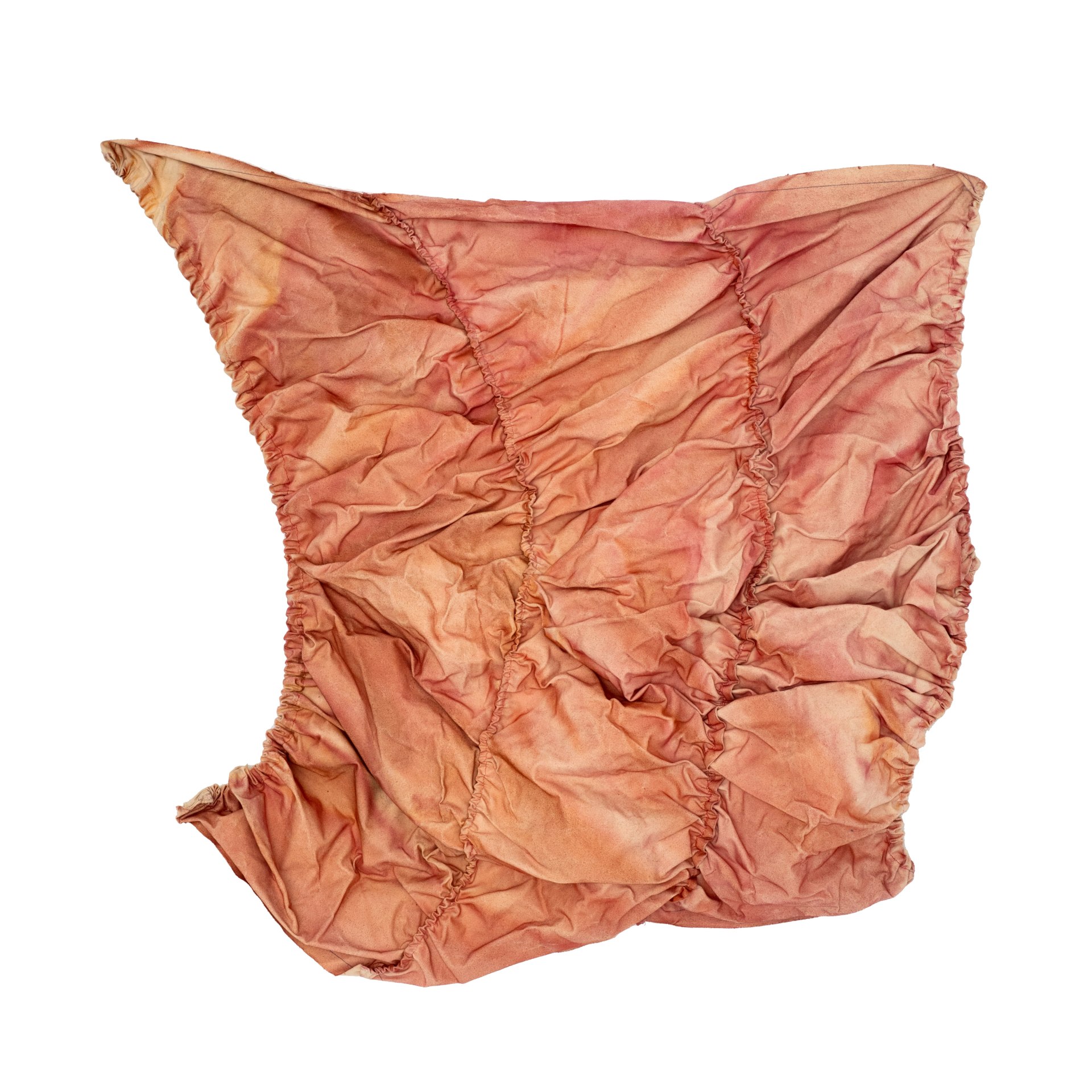 Nina Yankowitz (1946-)