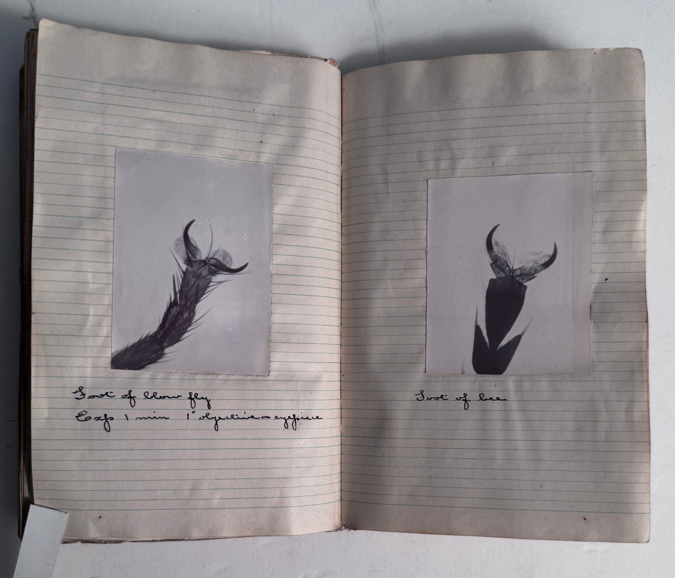 SOME PERSONAL PAPERS OF ALFRED WARD, R.N. INCLUDING HIS 1910 ALBUM OF MICROPHOTOGRAPHY, DIARIES WITH PHOTOS AND RELATED EPHEMERA