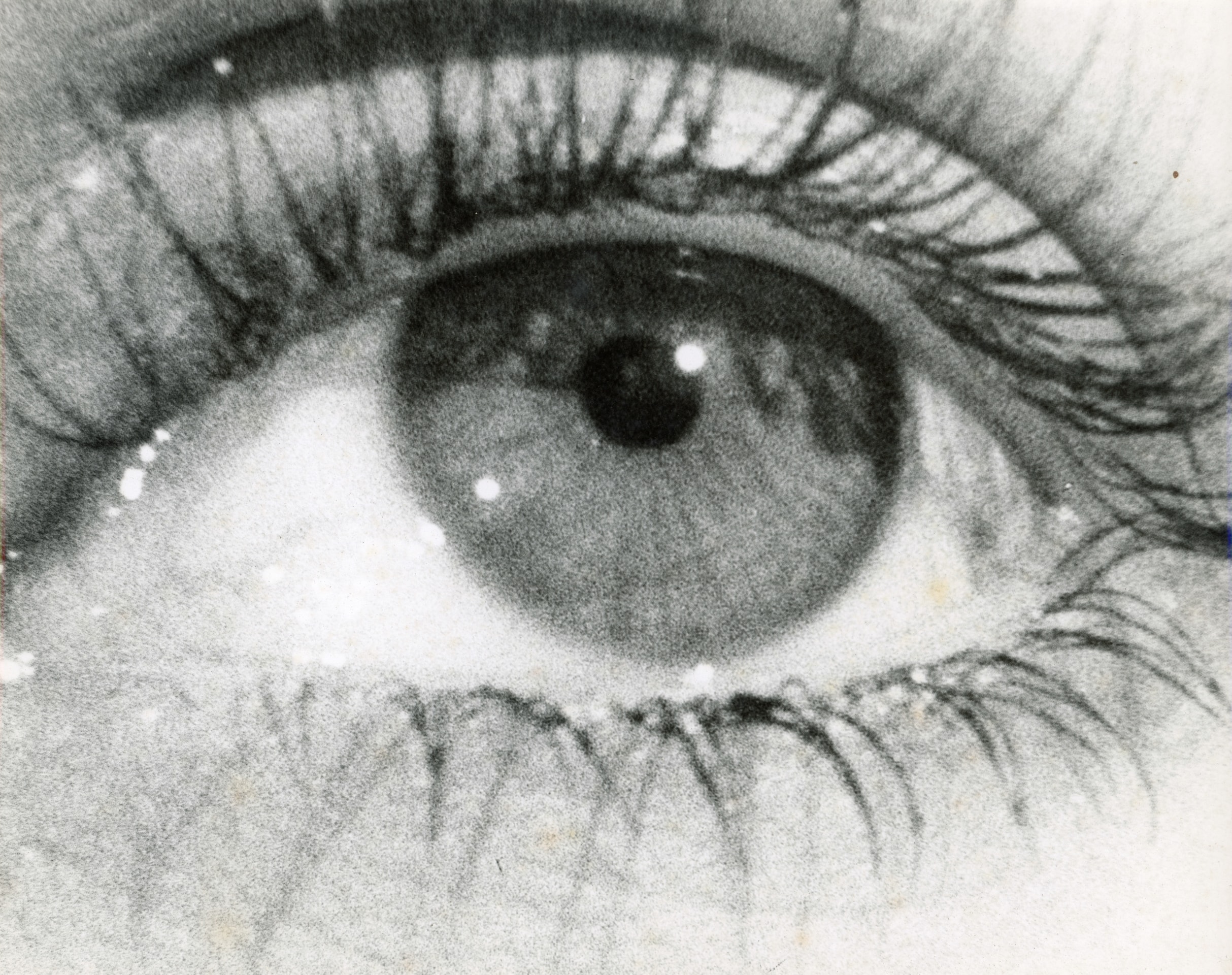 HERBERT MATTER (Swiss-American, 1907-1984)