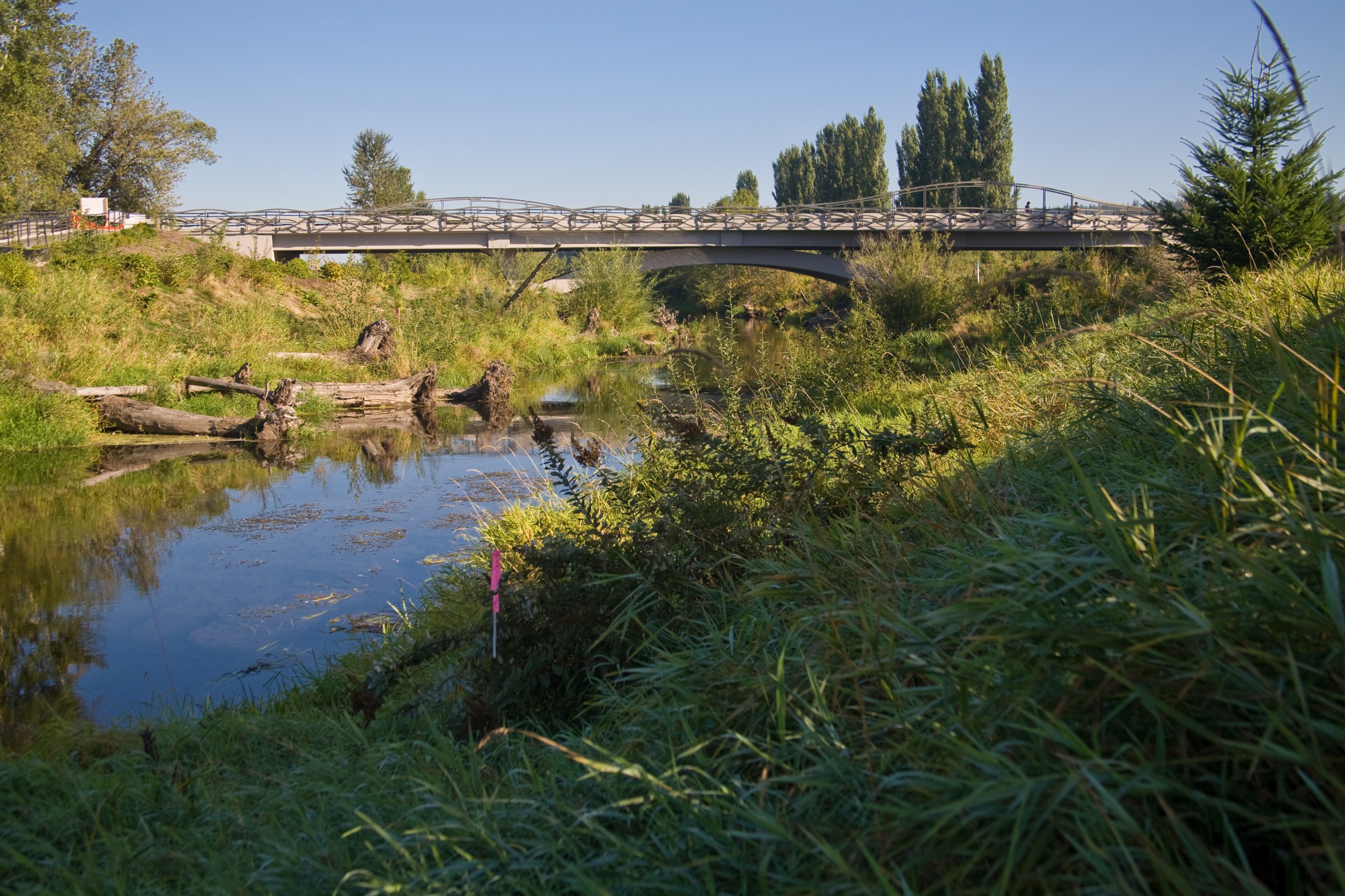 Sammamish Meander