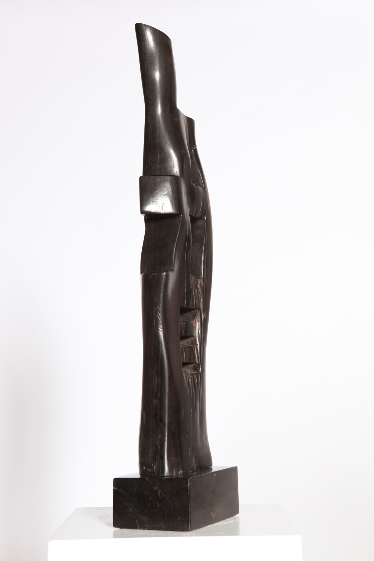 Alexandre Noll's ebony sculpture, side view