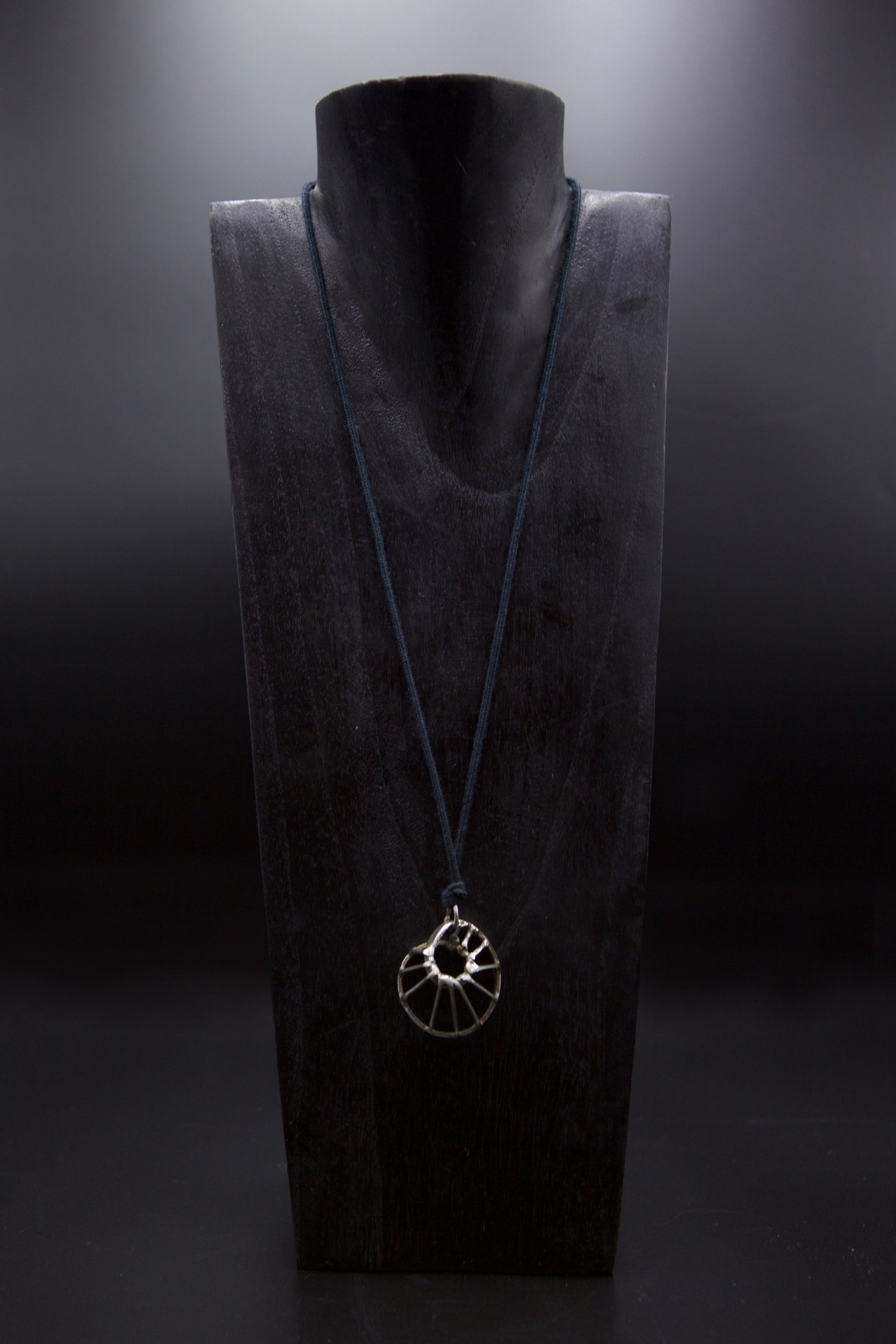 Alain Douillard's pendant front view