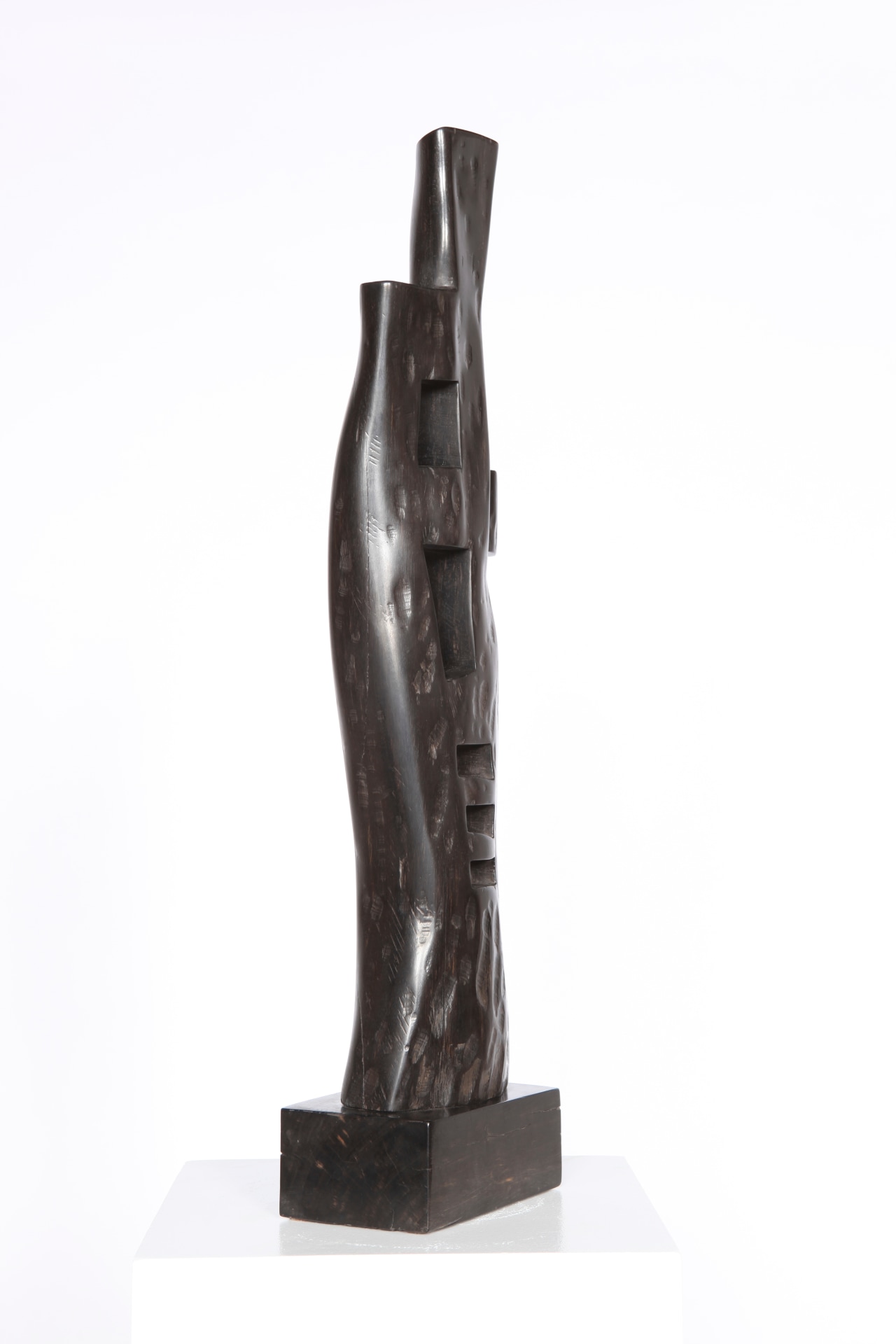 Alexandre Noll's ebony sculpture, side view