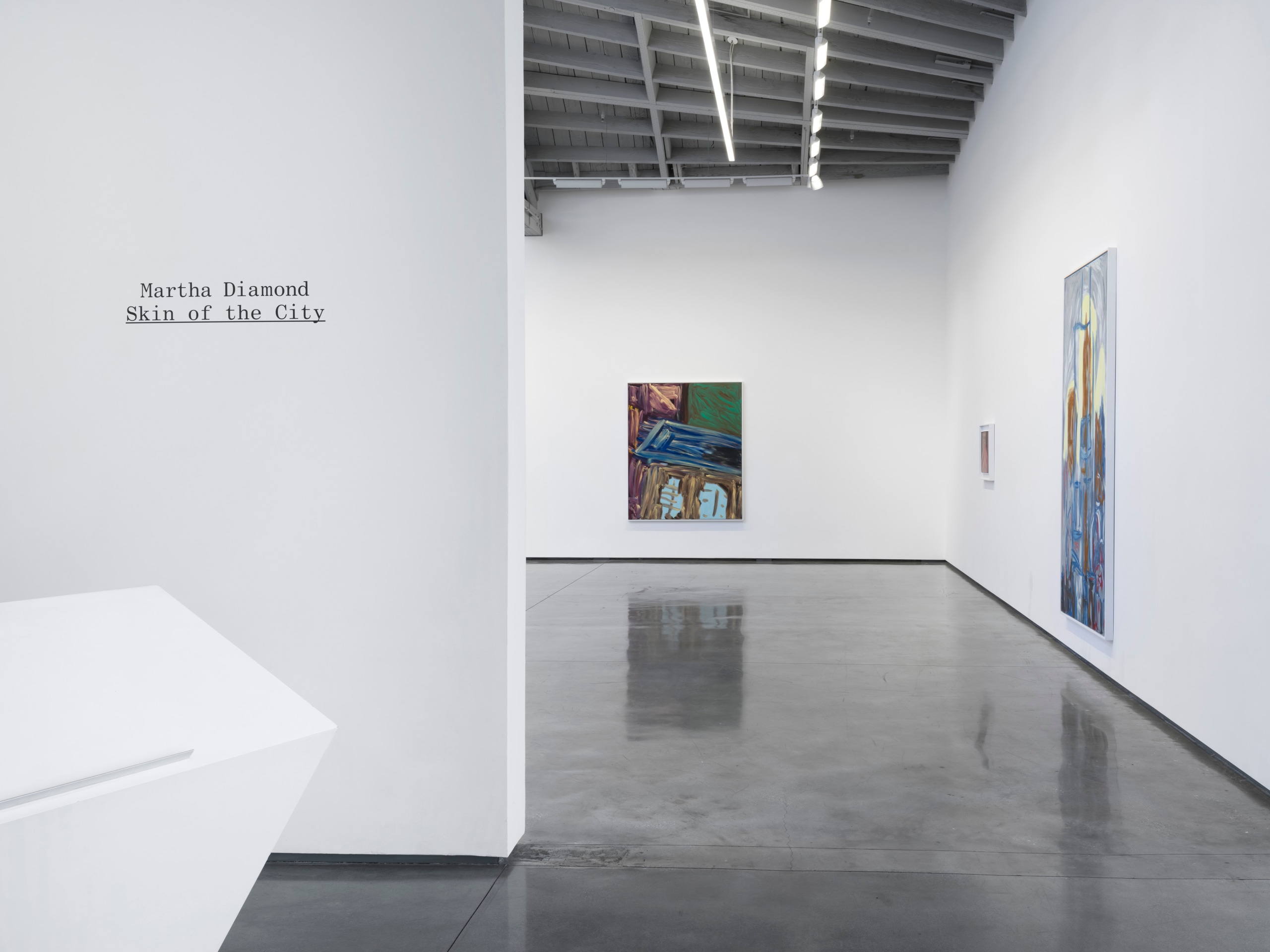 Martha Diamond - Skin of the City - 展览 - David Kordansky Gallery