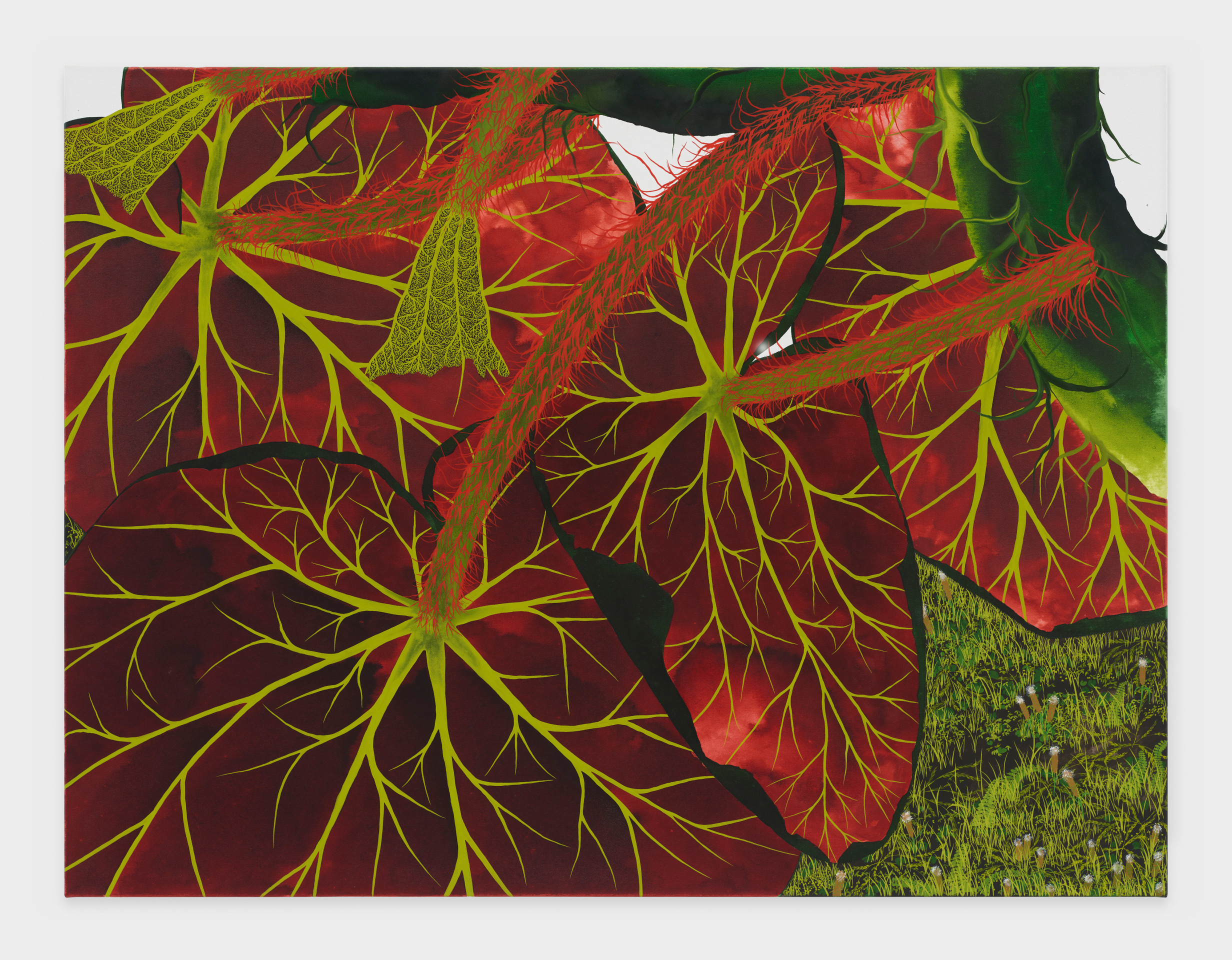 Calvin Marcus Artist David Kordansky Gallery