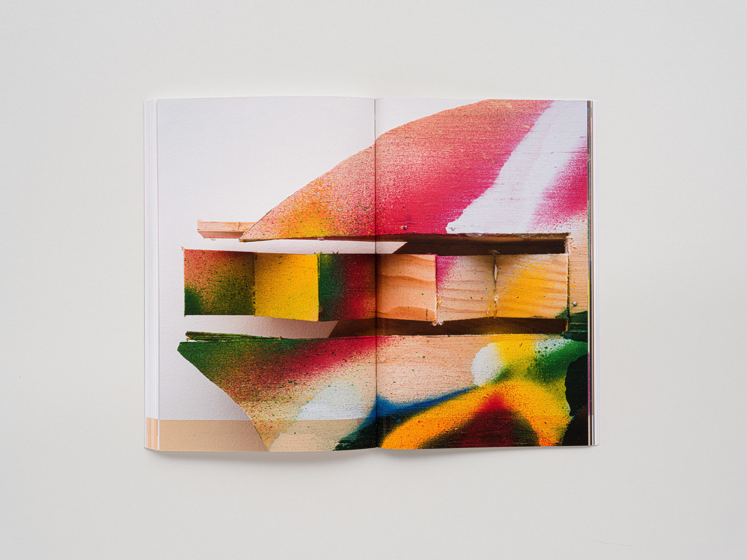 Richard Tuttle Chapters and Heads Publications David Kordansky