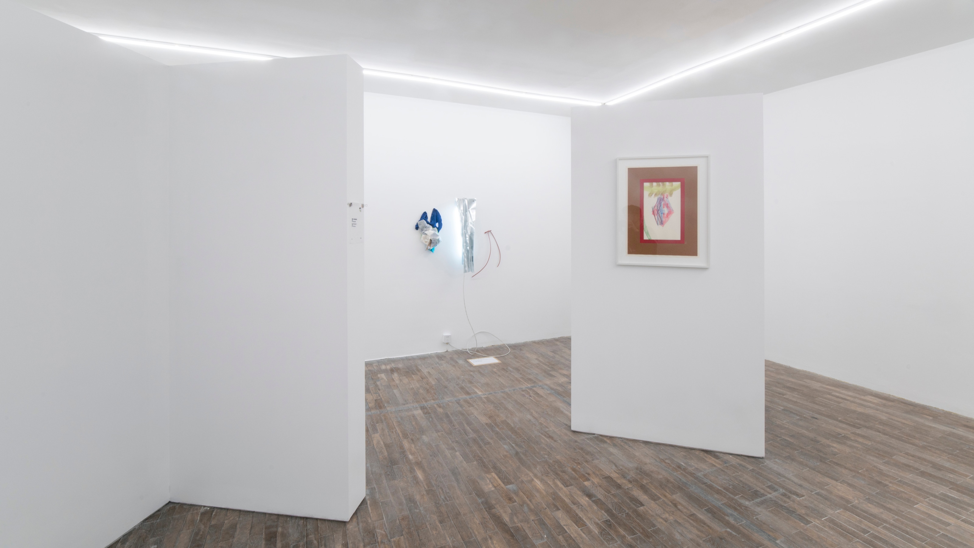 Richard Tuttle Introduction to Practice Exhibitions David