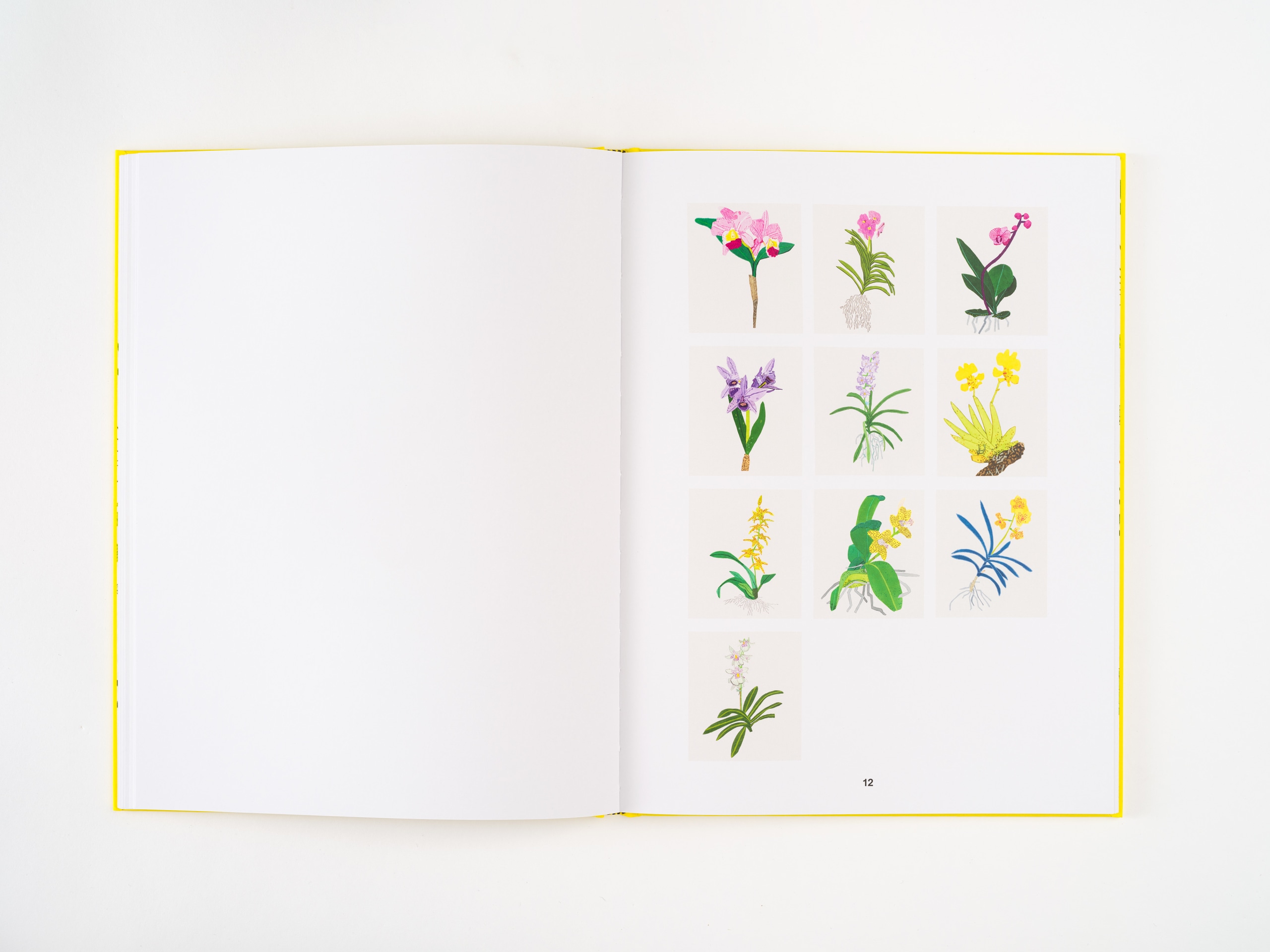 Jonas Wood Hong Kong Publications David Kordansky Gallery