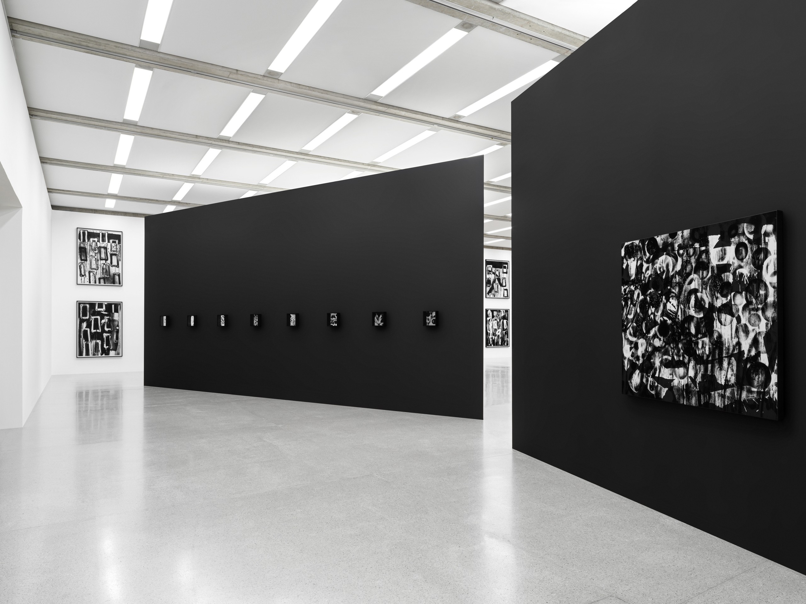 Adam Pendleton - Blackness, White, and Light - Public Exhibitions ...