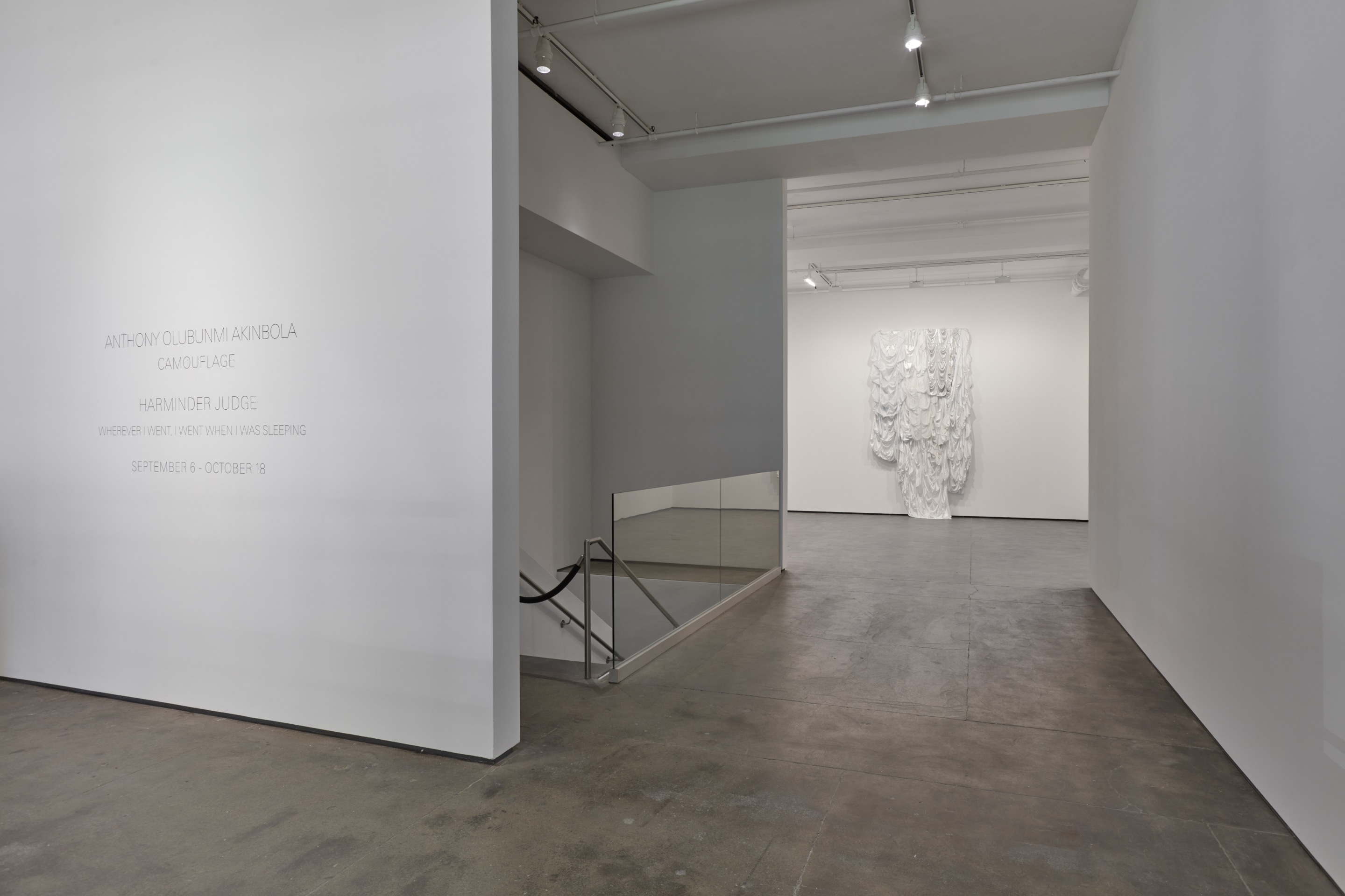 Installation view of&nbsp;Anthony Olubunmi Akinbola: Camouflage at Sean Kelly, New York, September 5 &ndash; October 18, 2025, Photography: Jason Wyche, Courtesy: Sean Kelly, New York/Los Angeles