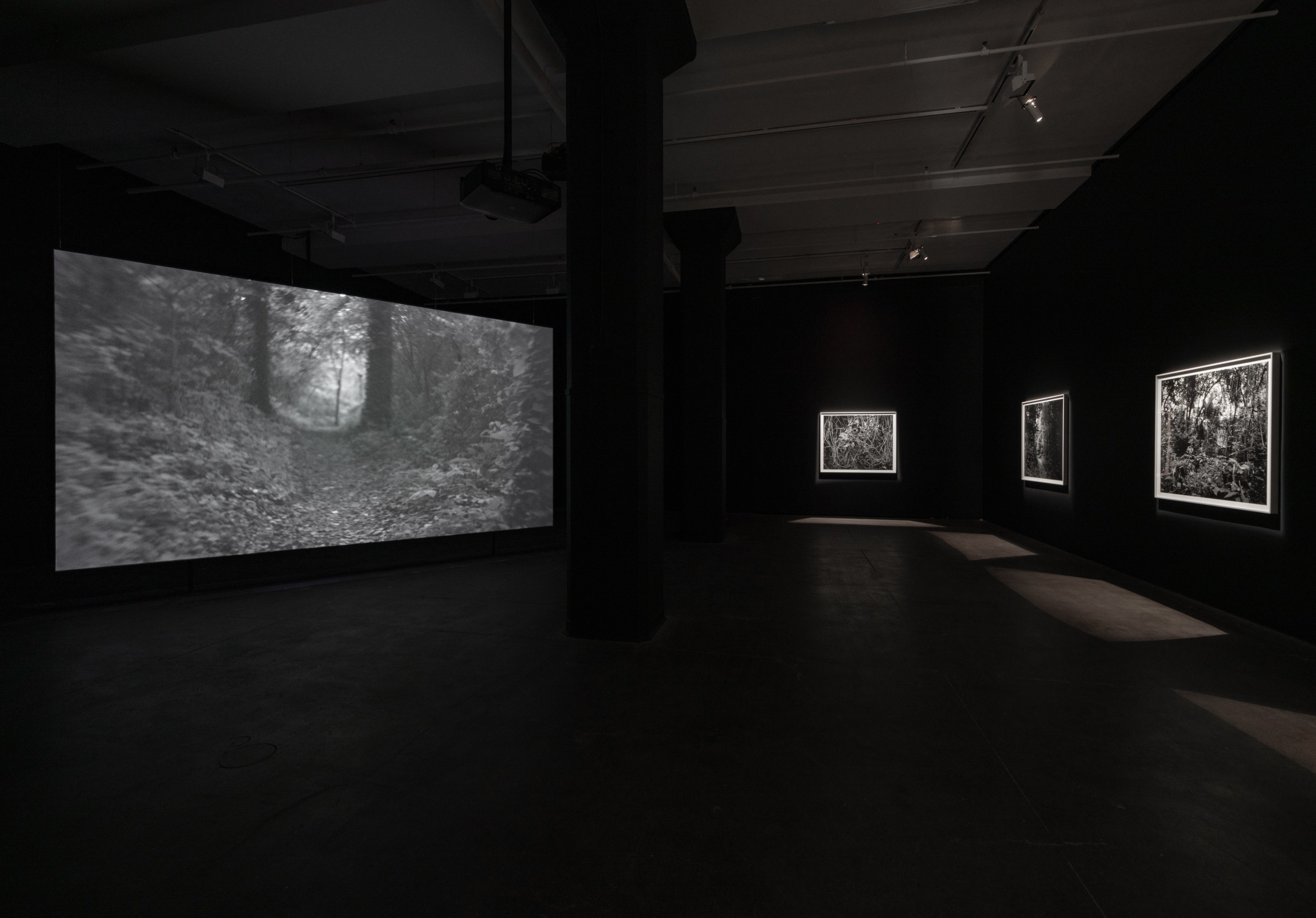 Installation view of Dawoud Bey: Stony the Road at Sean Kelly, New York, January 10 – February 22, 2025, Photography: Adam Reich, Courtesy: Sean Kelly, New York/Los Angeles