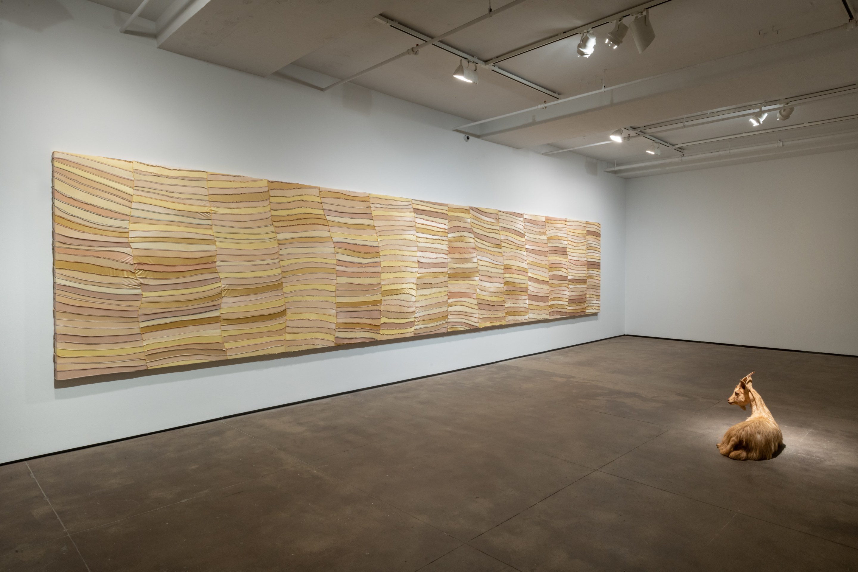 Installation view of Anthony Akinbola: Natural Beauty at Sean Kelly, New York, September 8 - October 22, 2022, Photography: Adam Reich, Courtesy: Sean Kelly