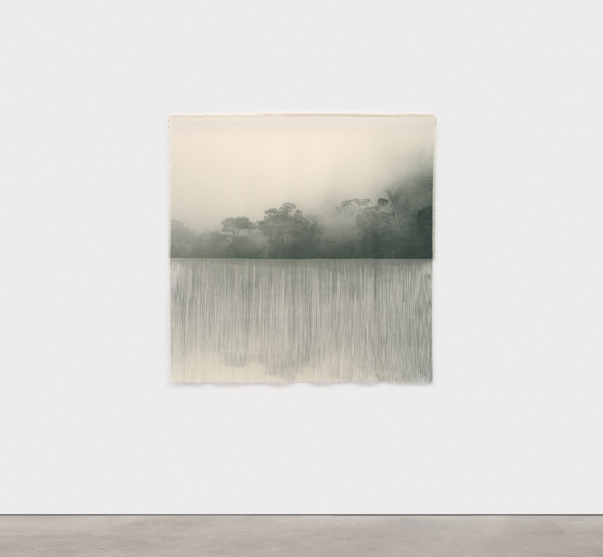 Ana Gonz&aacute;lez, FOI (PASEO DE LAS ORQUIDEAS), 2025