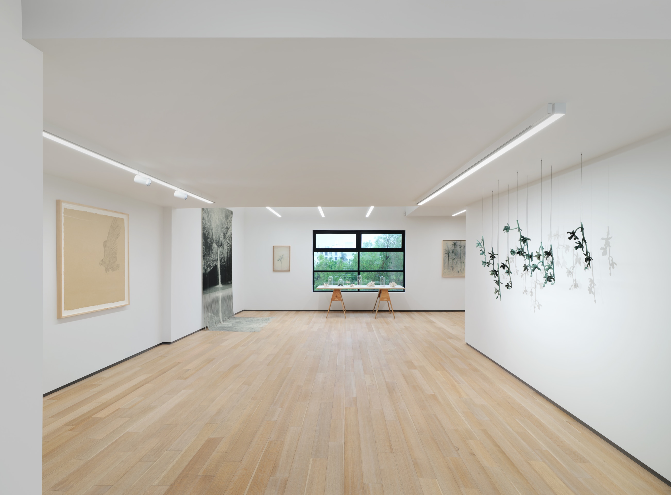 Installation view of&nbsp;VERDES&nbsp;at Sean Kelly, Los Angeles, Janauary 20 - March 9, 2024, Photography: Brica Wilcox, Courtesy: Sean Kelly