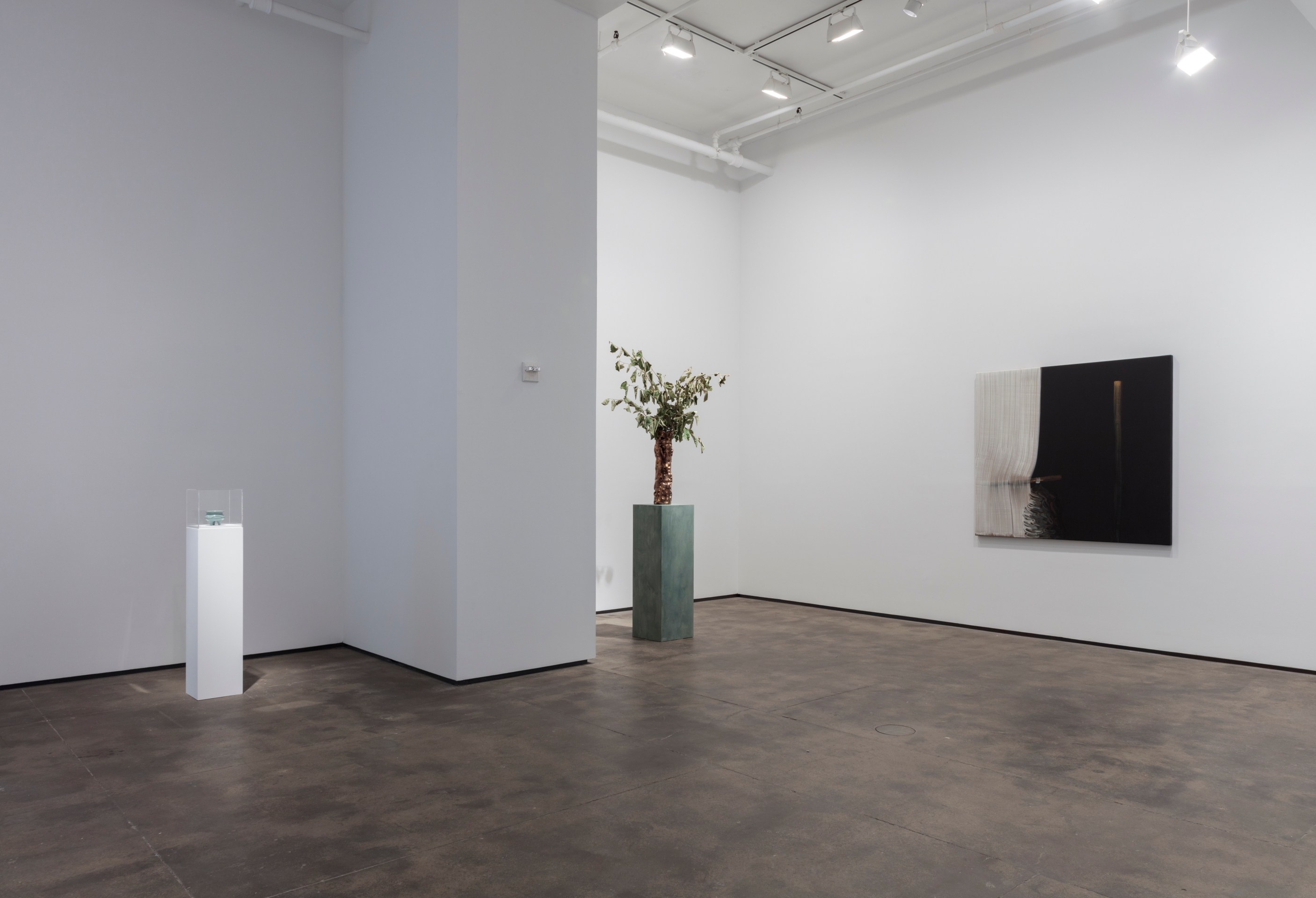 Installation view of&nbsp;Abstract by Nature&nbsp;at Sean Kelly, New York, June 28 - August 2, 2019