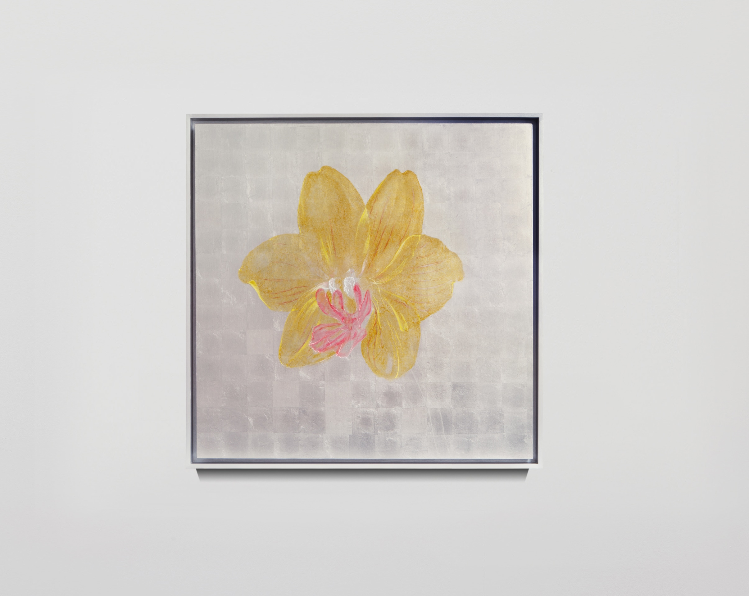 Laurent Grasso, Future Herbarium, Phalaenopsis, 2023
