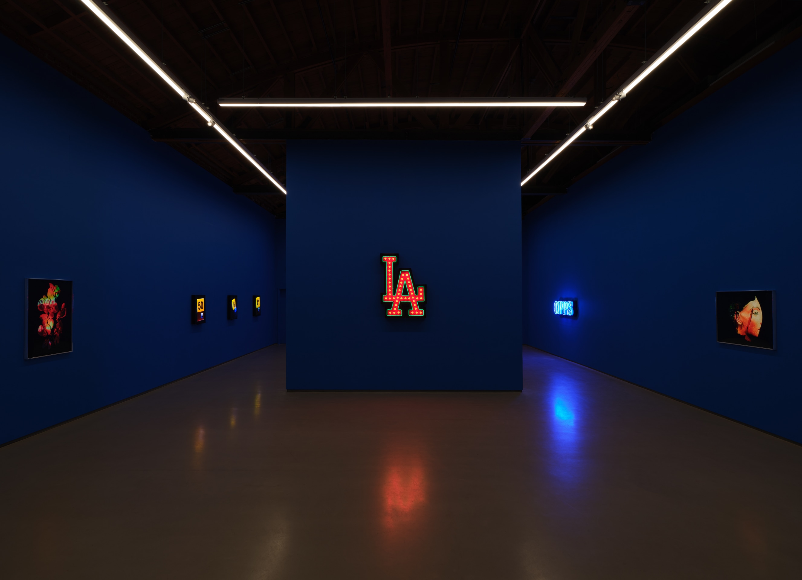 Installation view of&nbsp;Awol Erizku: Moon, Turn the Flames&hellip;Gently Gently Away at Sean Kelly, Los Angeles, May 16 &ndash; July 3, 2025, Photography: Brica Wilcox, Courtesy: Sean Kelly, New York/Los Angeles