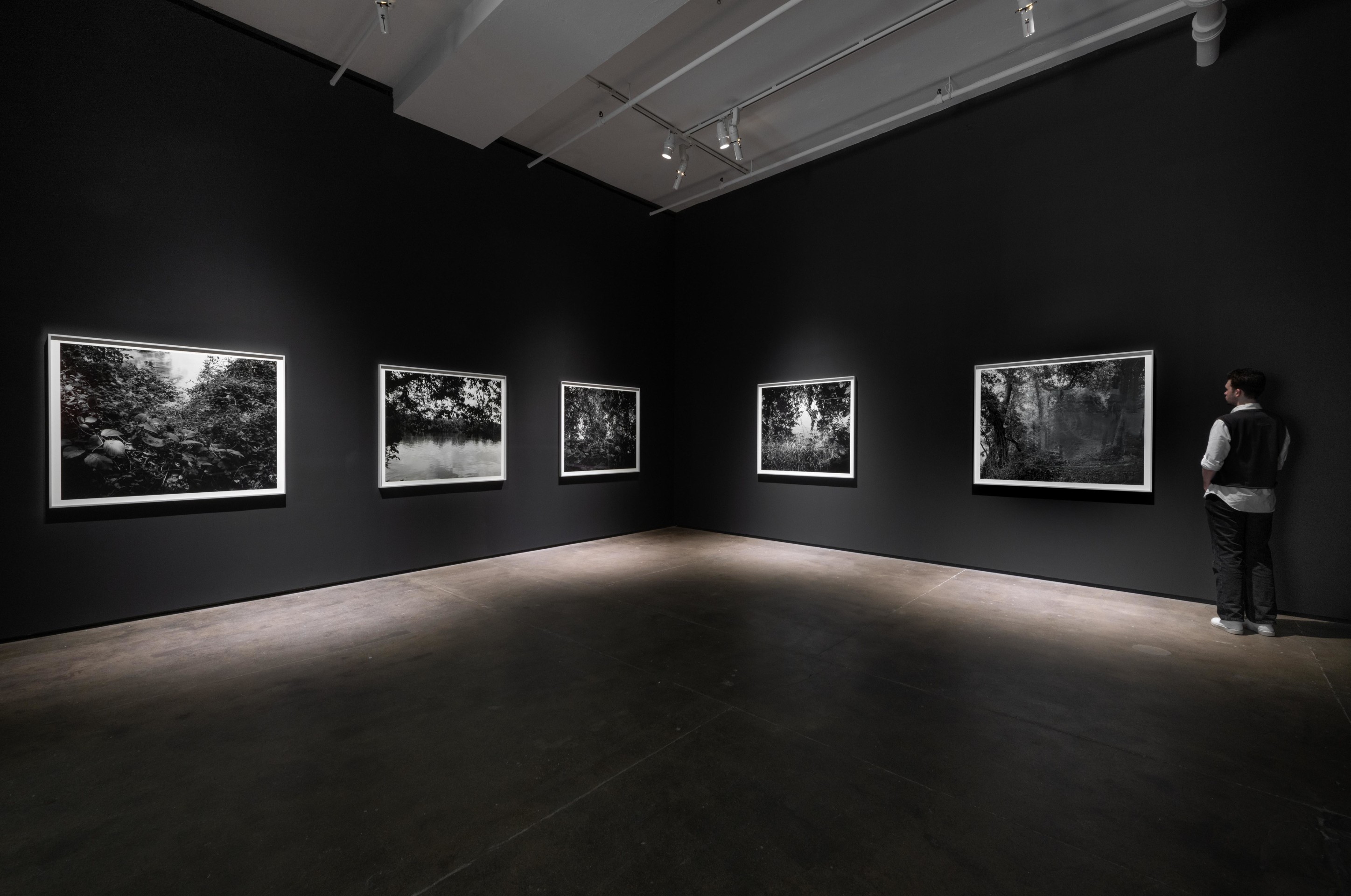 Installation view of Dawoud Bey: Stony the Road at Sean Kelly, New York, January 10 – February 22, 2025, Photography: Adam Reich, Courtesy: Sean Kelly, New York/Los Angeles