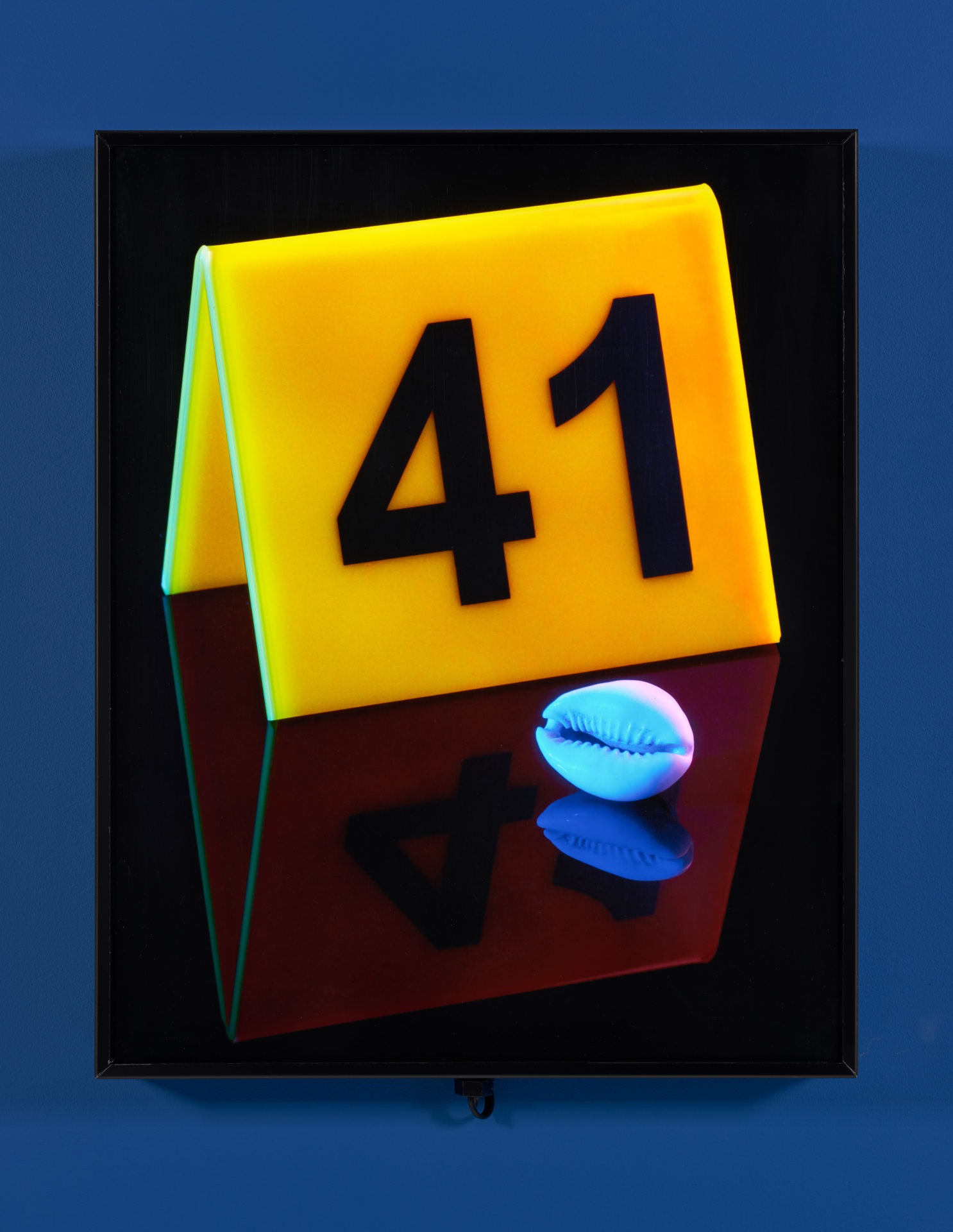 Awol Erizku American Skin (41 Shots) - Bruce Springsteen, 2025