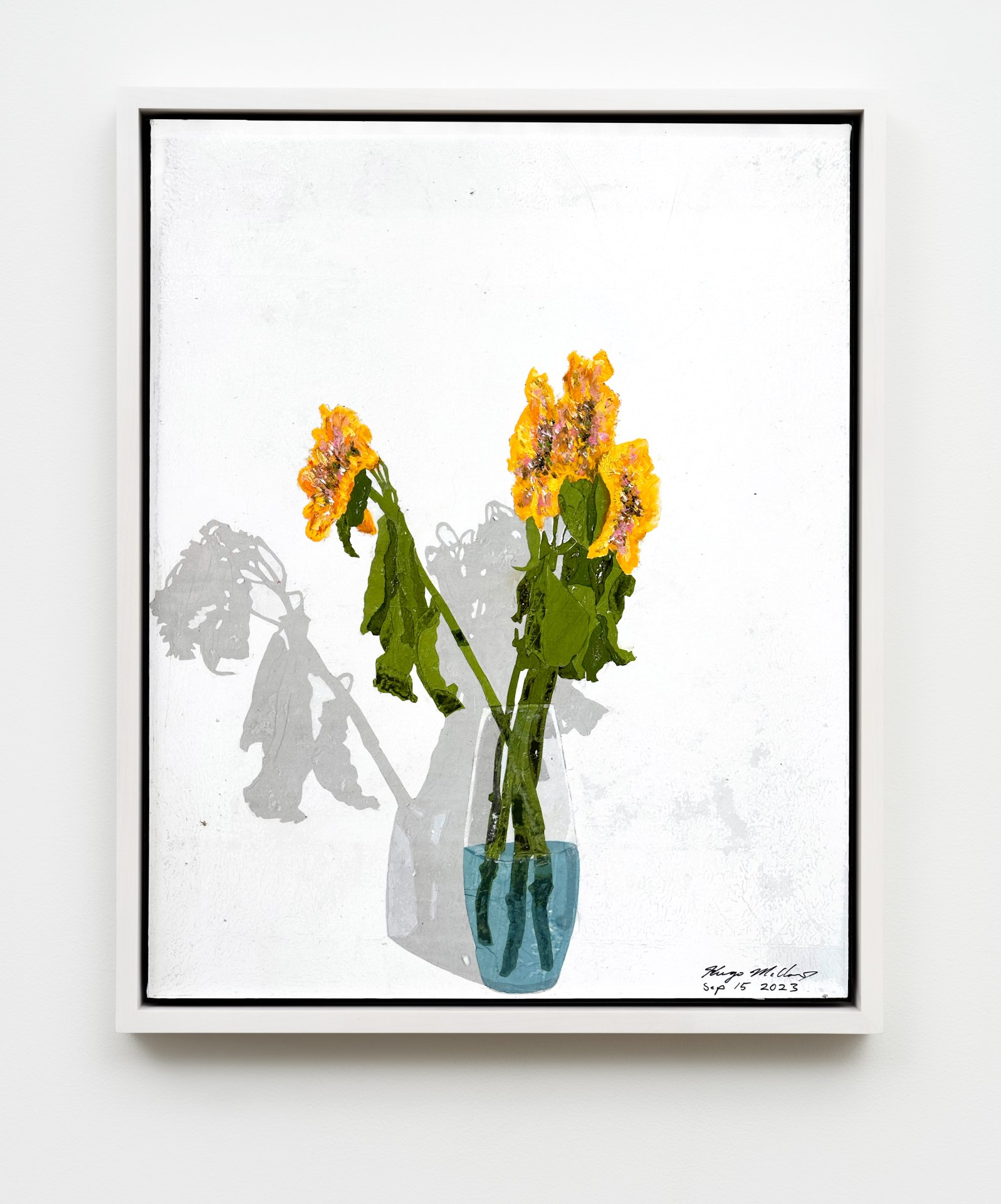 Hugo McCloud, Sep 15 2023, 2023