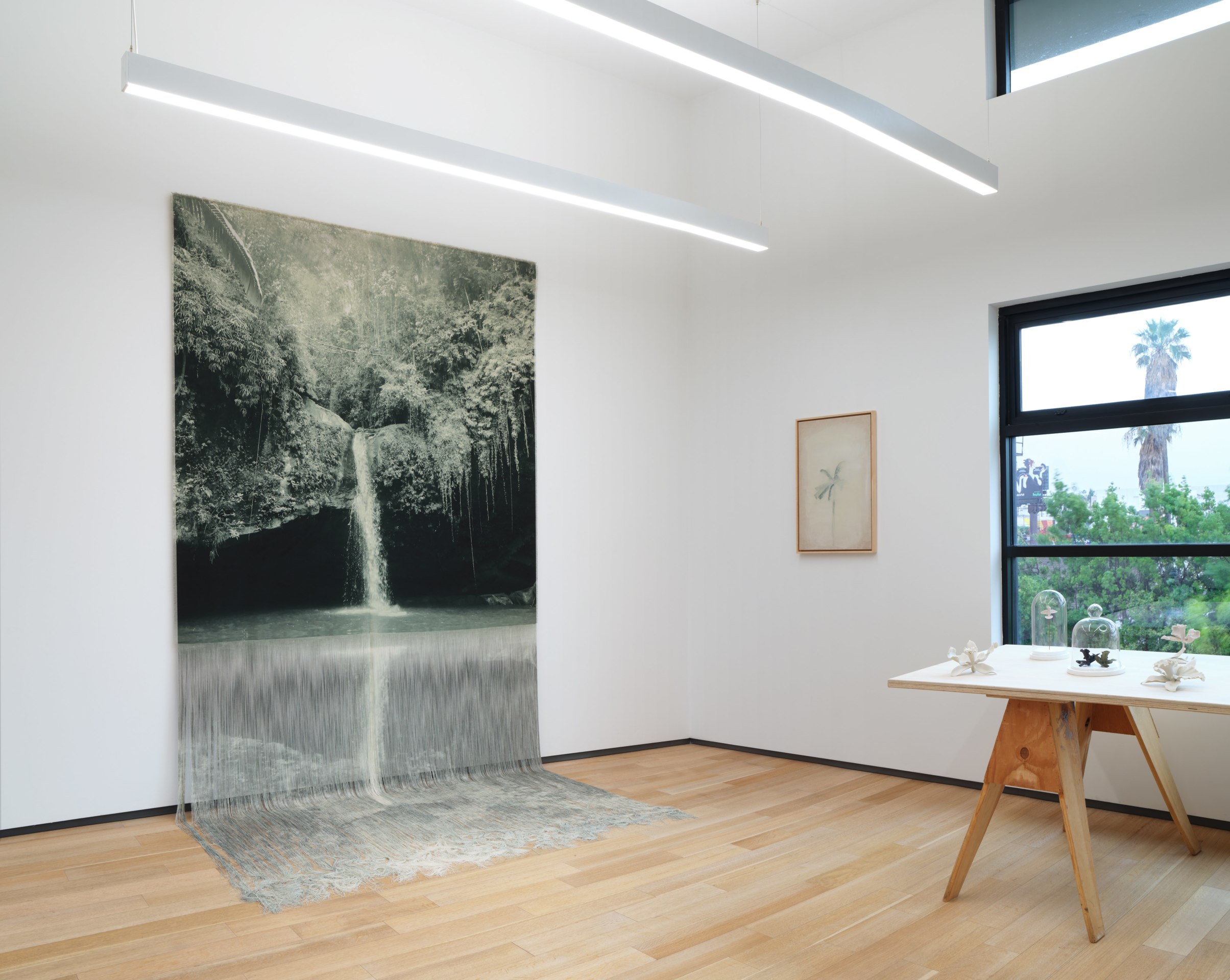 Installation view of&nbsp;VERDES&nbsp;at Sean Kelly, Los Angeles, Janauary 20 - March 9, 2024, Photography: Brica Wilcox, Courtesy: Sean Kelly