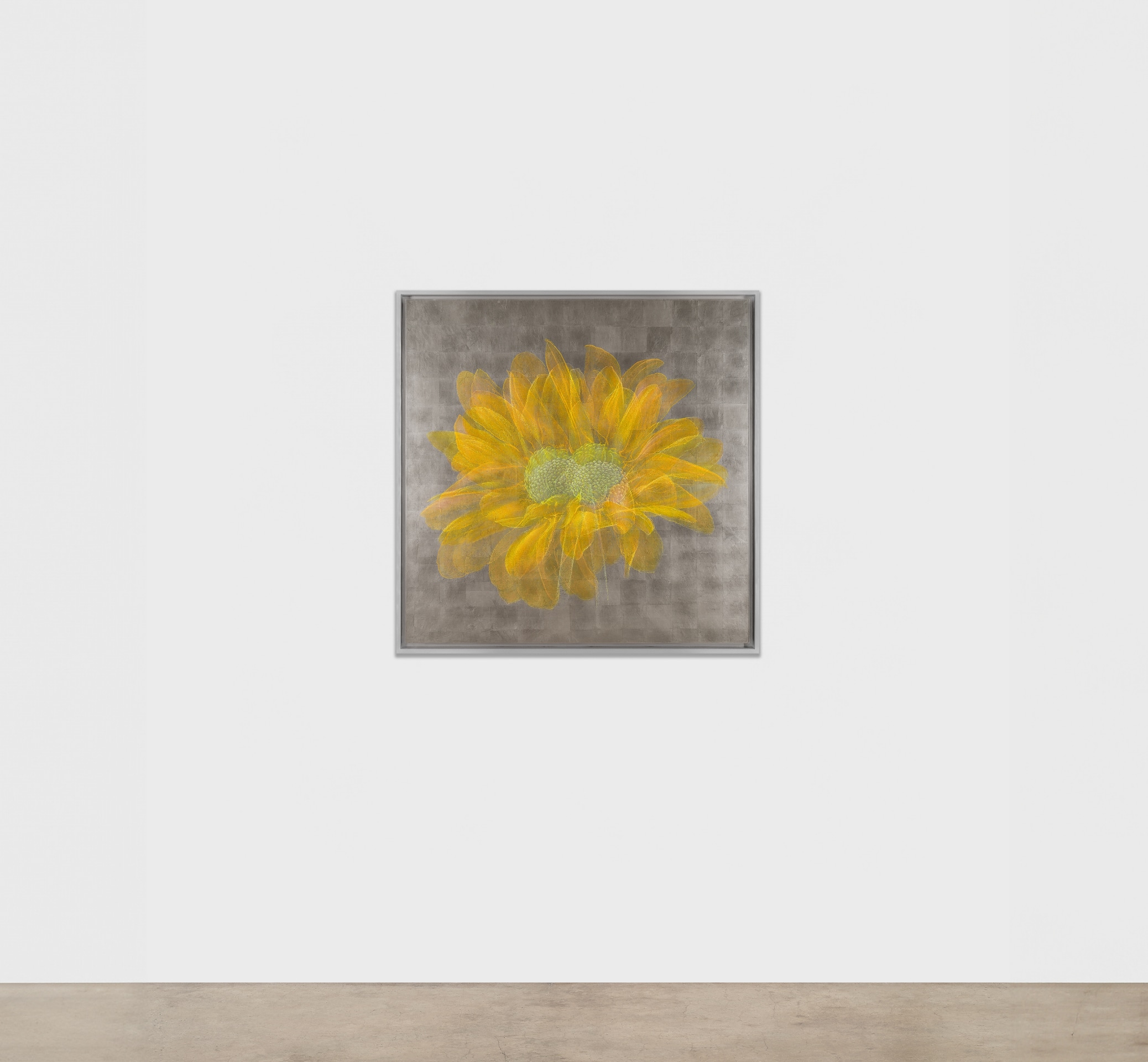 Laurent Grasso, Future Herbarium