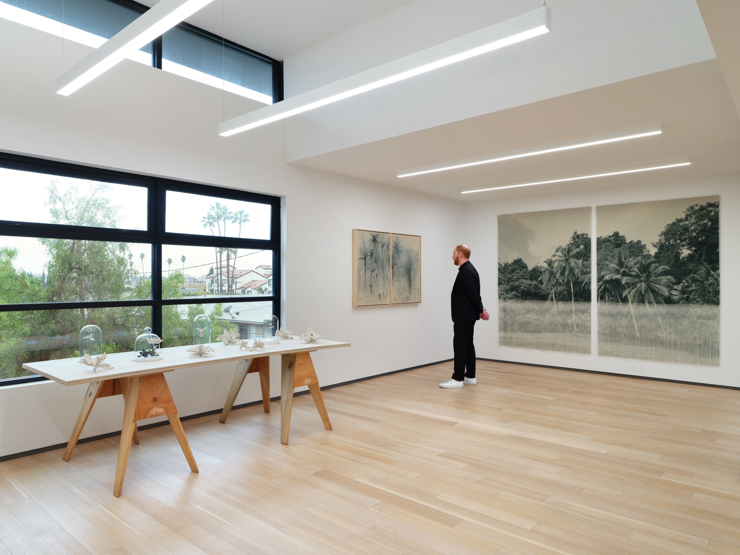 Installation view of&nbsp;VERDES&nbsp;at Sean Kelly, Los Angeles, Janauary 20 - March 9, 2024, Photography: Brica Wilcox, Courtesy: Sean Kelly