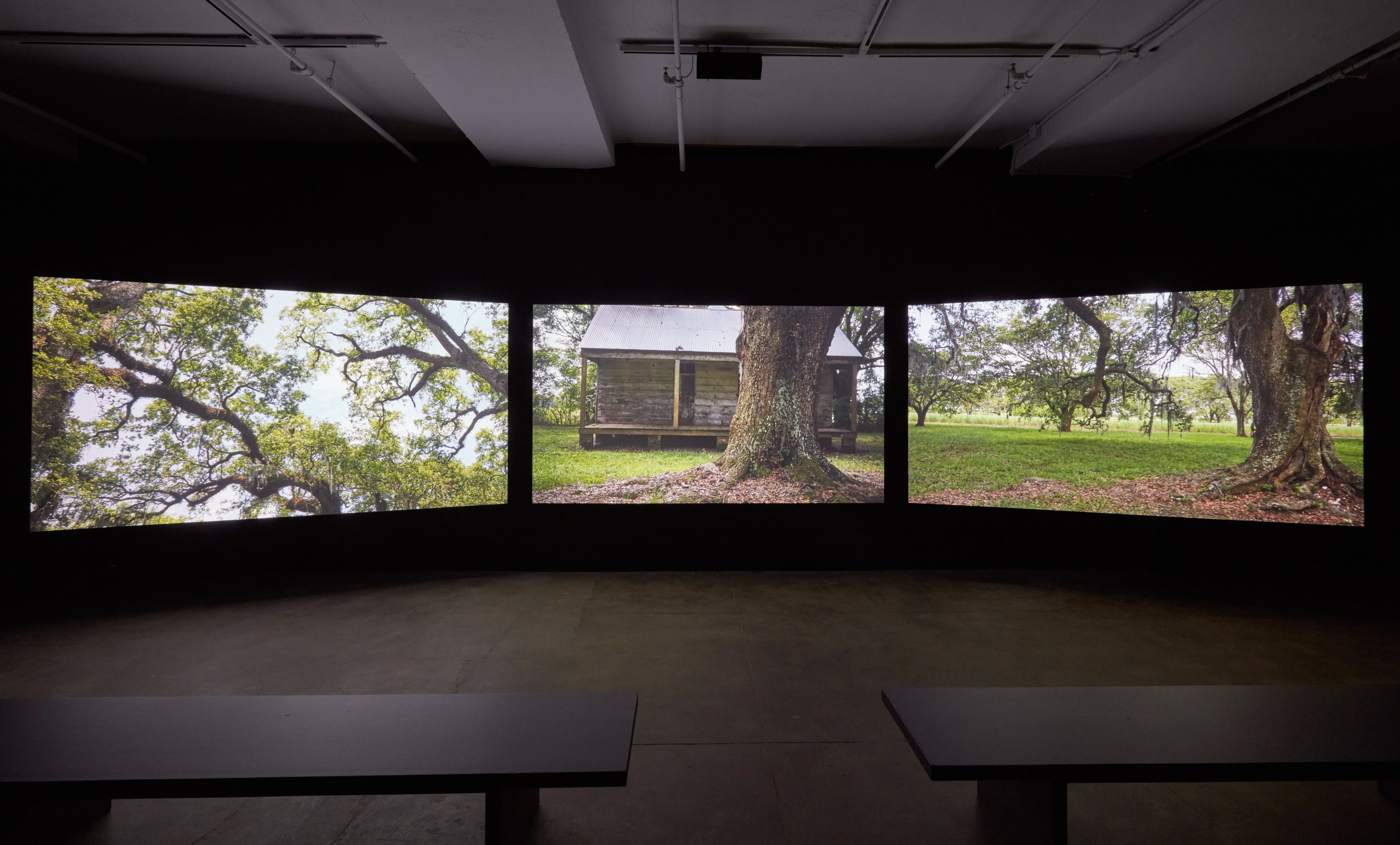 Evergreen, 2021, 3-channel video with sound