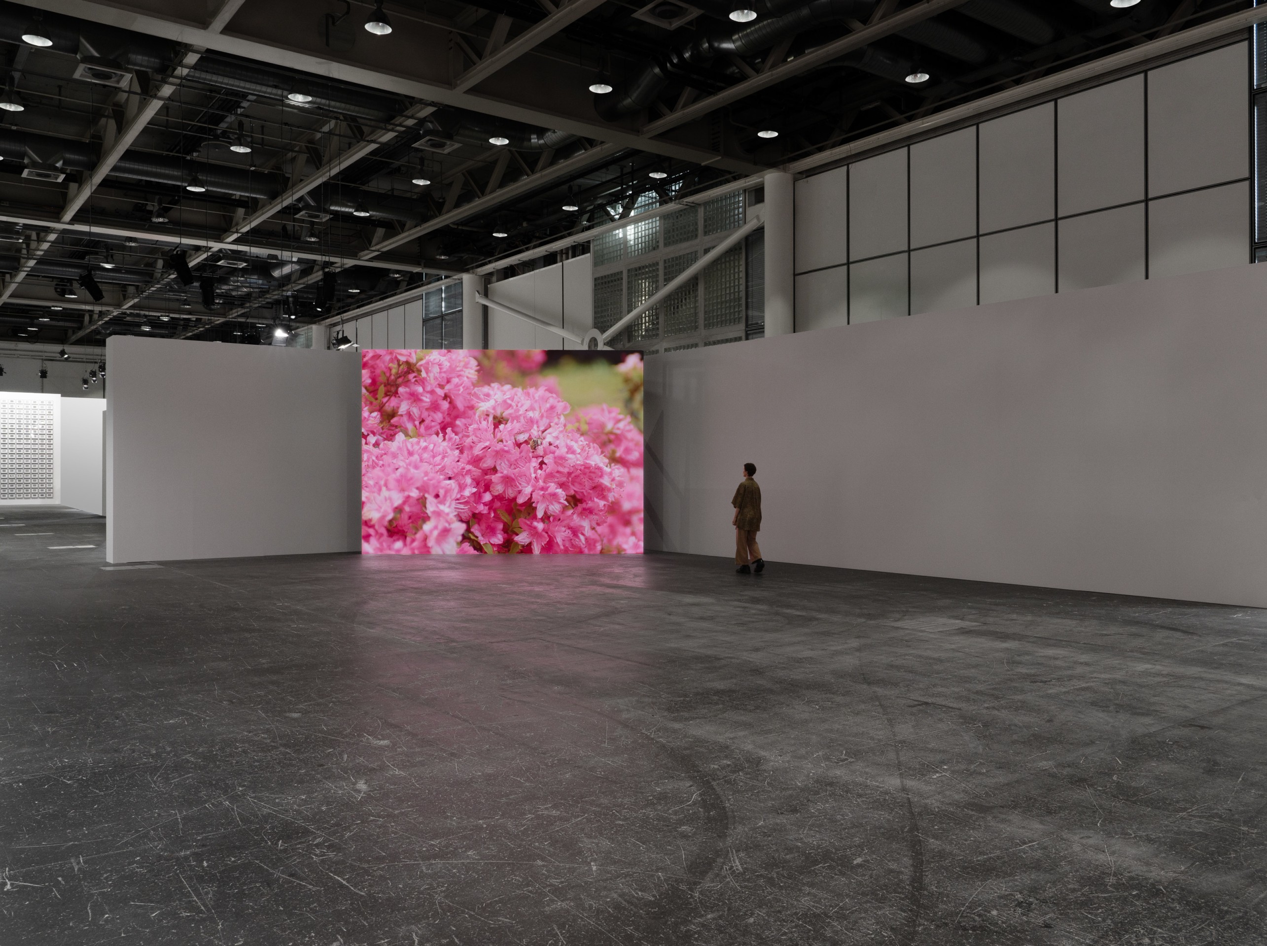 David Claerbout, Birdcage, 2023 presented by Sean Kelly, Galeria Pedro Cera, Galerie Greta Meert, Esther Schipper, and Galerie Rüdiger Schöttle at Art Basel Unlimited 2024, U22, June 10–16. 2024. © David Claerbout, Photo: Dawn Blackman, Courtesy: the artist, Sean Kelly, New York/Los Angeles, Galeria Pedro Cera, Galerie Greta Meert, Esther Schipper, and Galerie Rüdiger Schöttle.