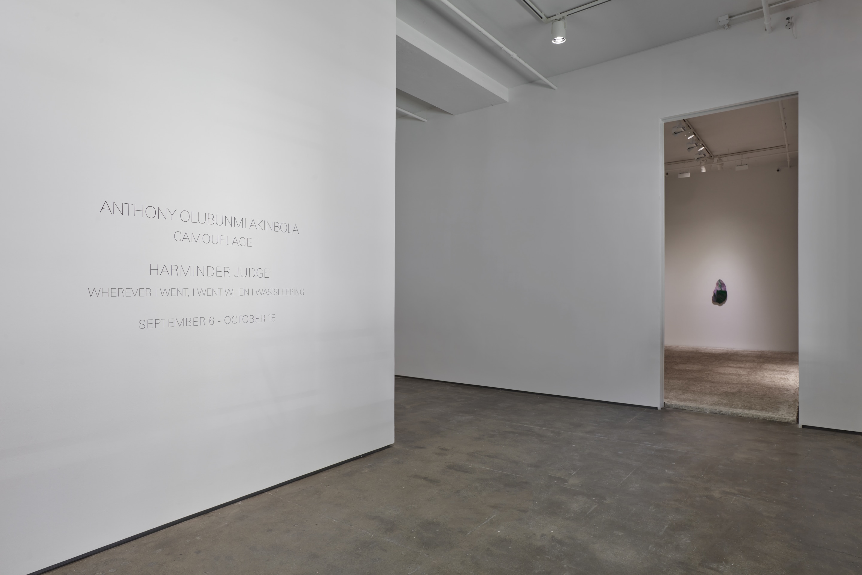 Installation view of&nbsp;Harminder Judge: Wherever I went, I went when I was sleeping at Sean Kelly, New York, September 5 &ndash; October 18, 2025, Photography: Jason Wyche, Courtesy: Sean Kelly, New York/Los Angeles