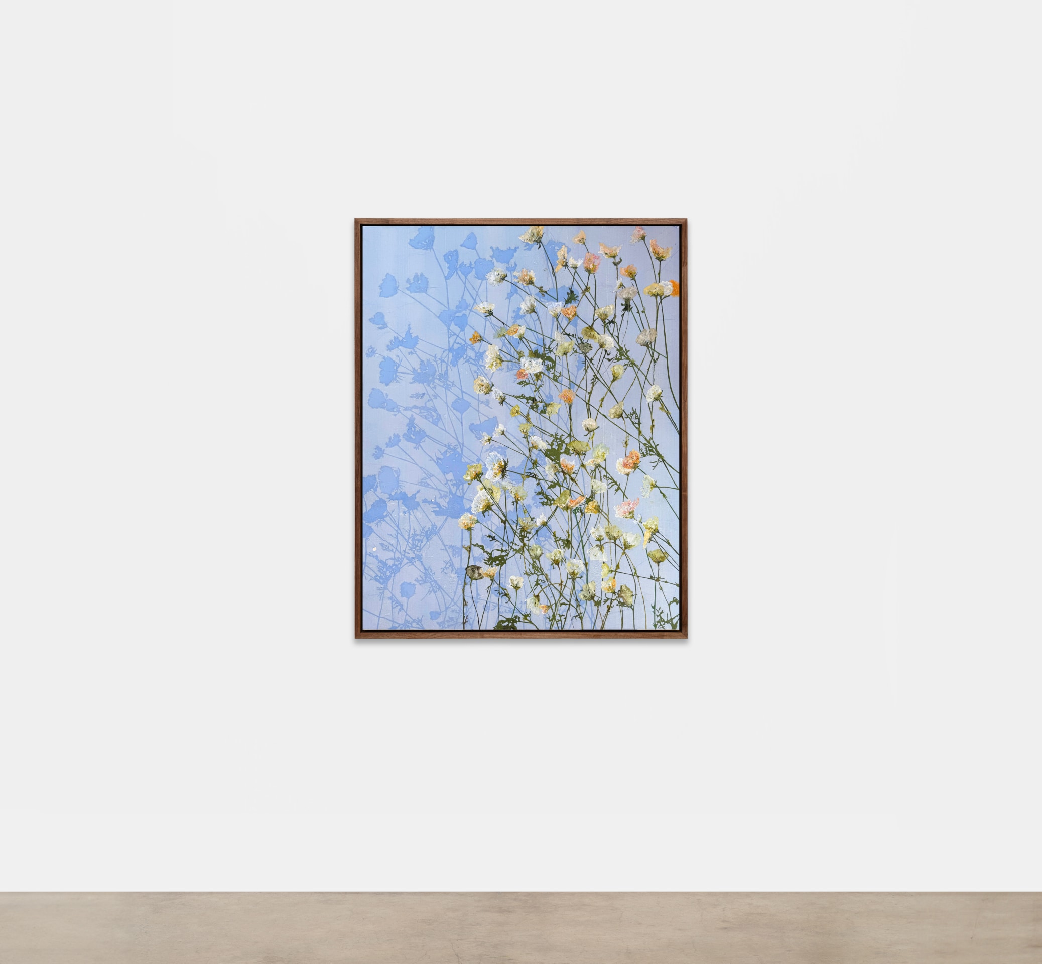 Hugo McCloud, flowers of sant vicent 2, 2025