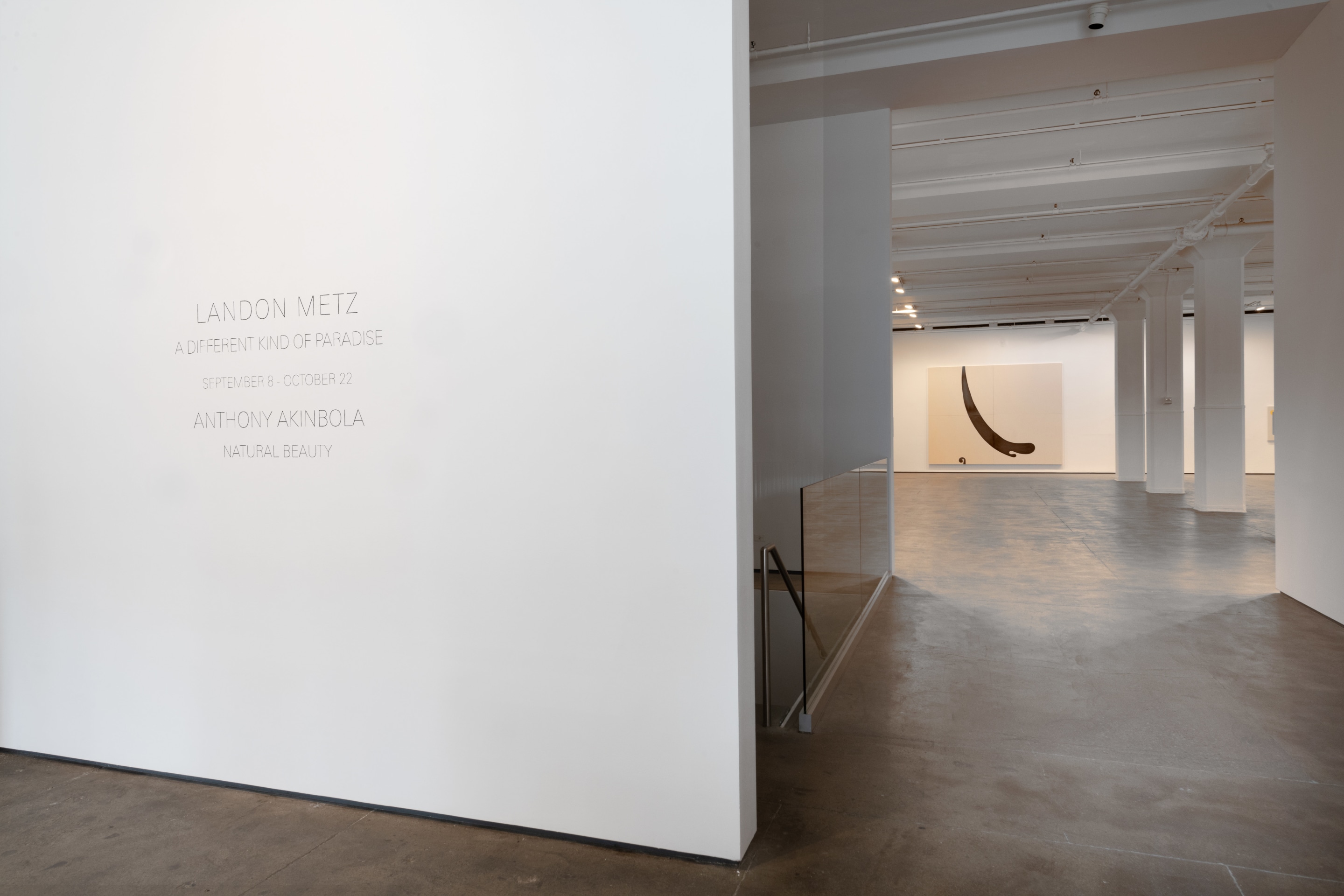 Installation view of Landon Metz: A Different Kind of Paradise at Sean Kelly, New York, September 8 - October 22, 2022, Photography: Adam Reich, Courtesy: Sean Kelly