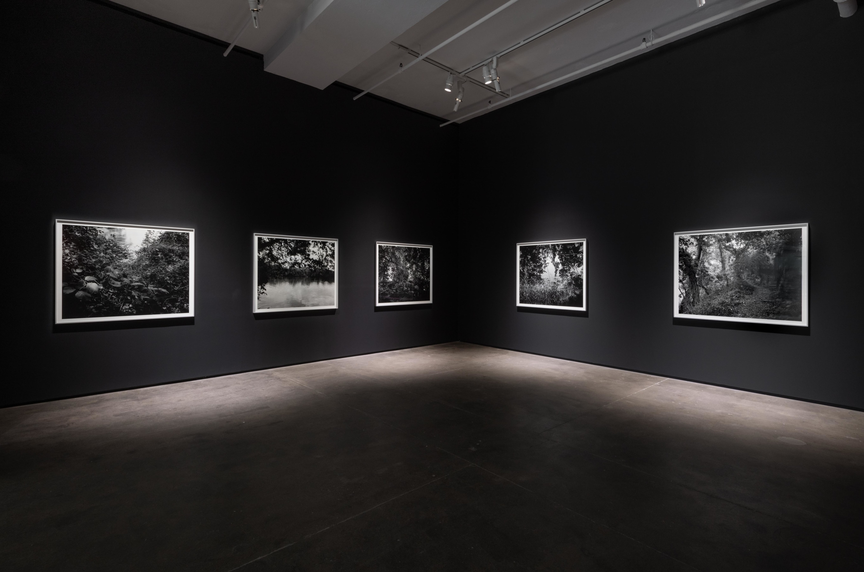 Installation view of Dawoud Bey: Stony the Road at Sean Kelly, New York, January 10 – February 22, 2025, Photography: Adam Reich, Courtesy: Sean Kelly, New York/Los Angeles