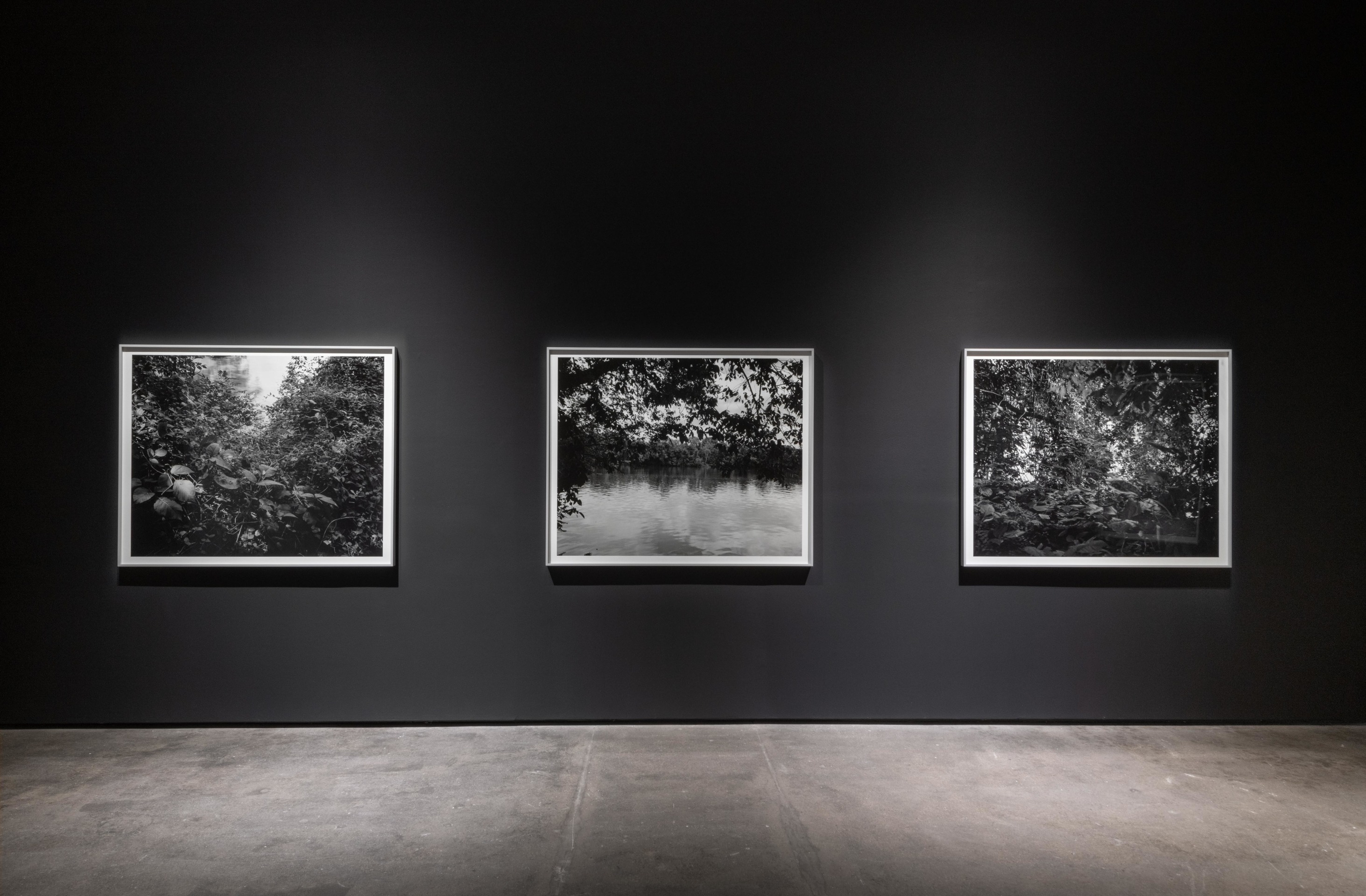 Installation view of Dawoud Bey: Stony the Road at Sean Kelly, New York, January 10 – February 22, 2025, Photography: Adam Reich, Courtesy: Sean Kelly, New York/Los Angeles
