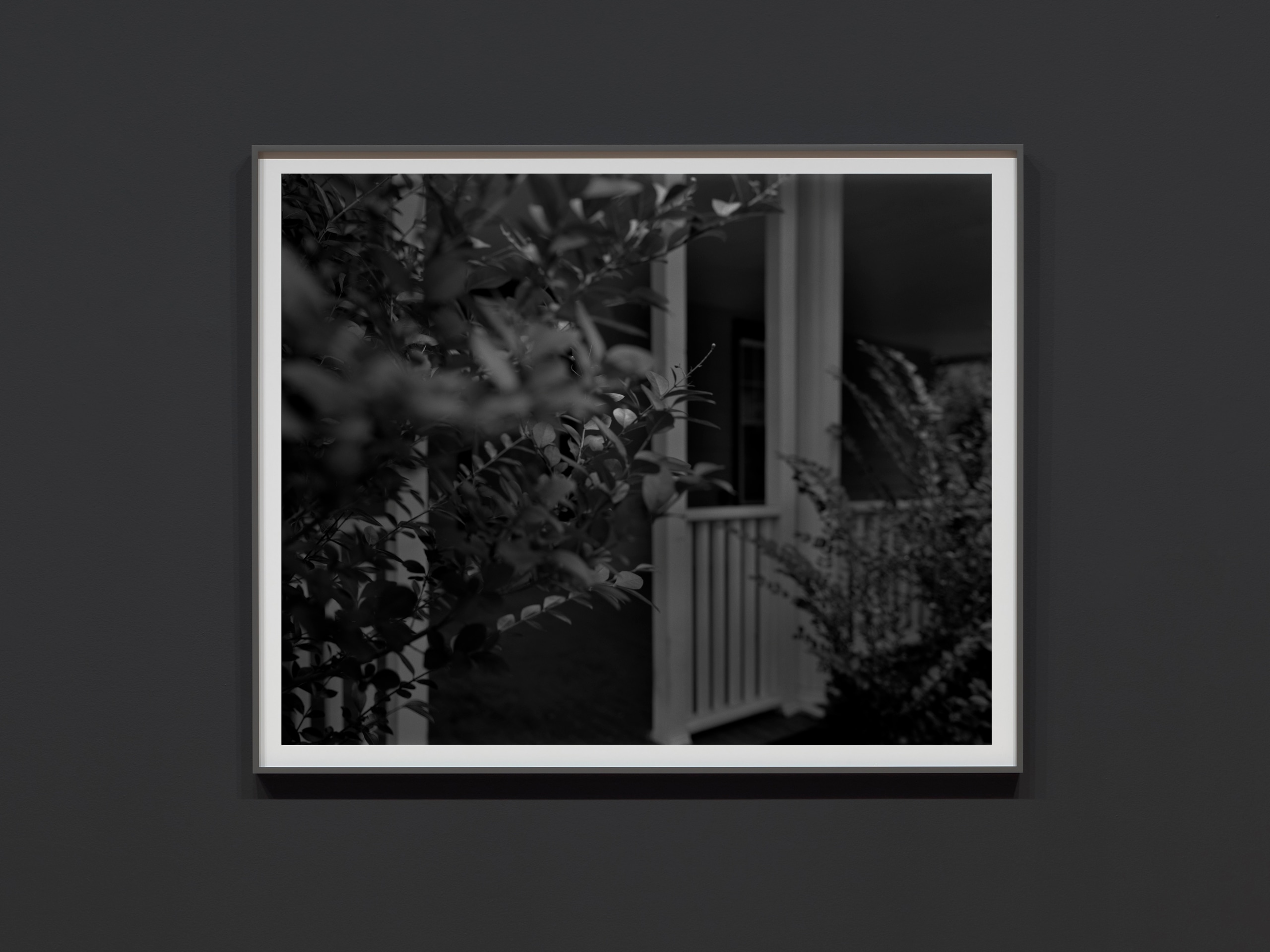 Dawoud Bey Untitled #4 (Leaves and Porch), 2017