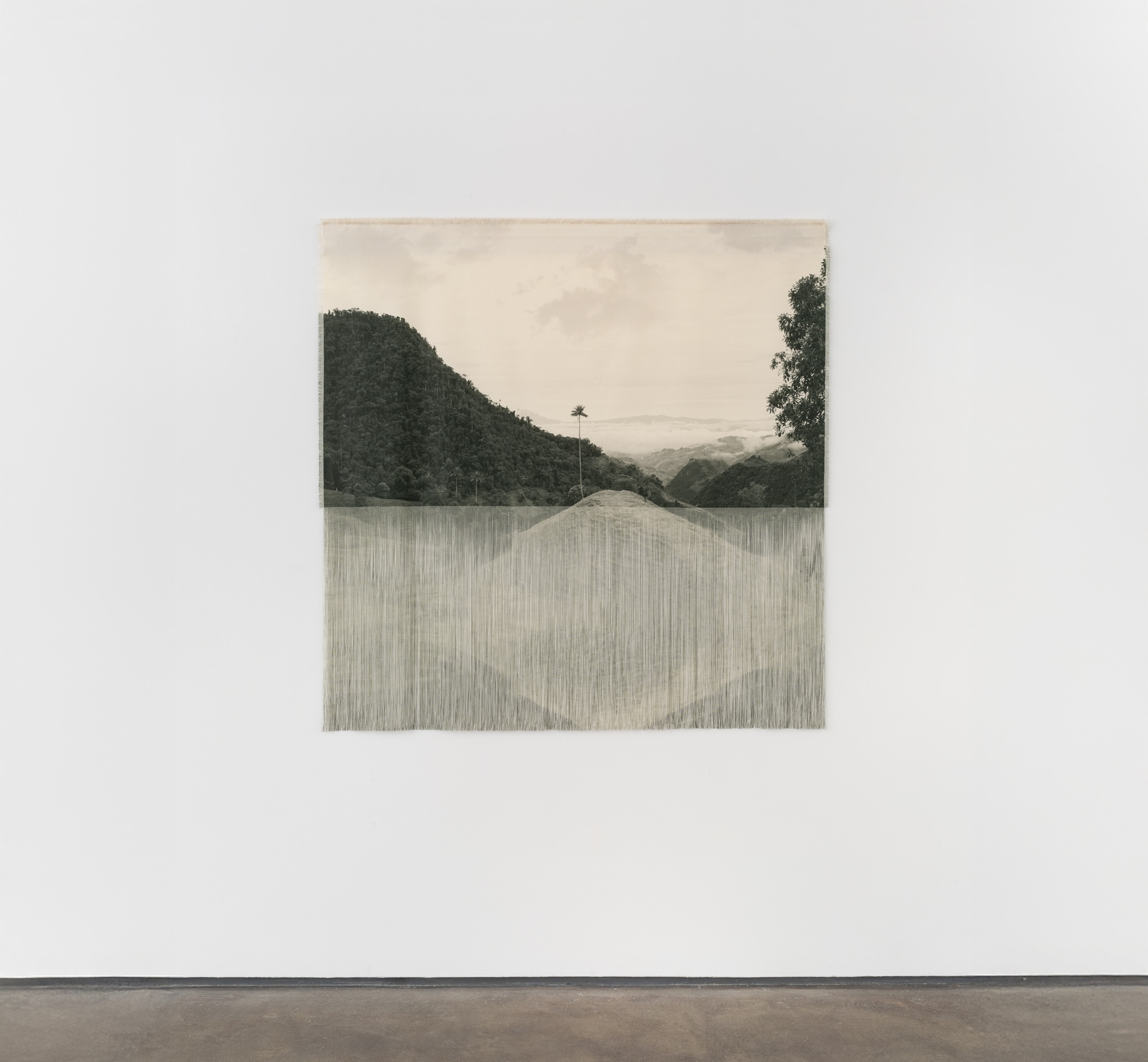 Ana Gonz&aacute;lez, ZUE I (PALMA), 2025