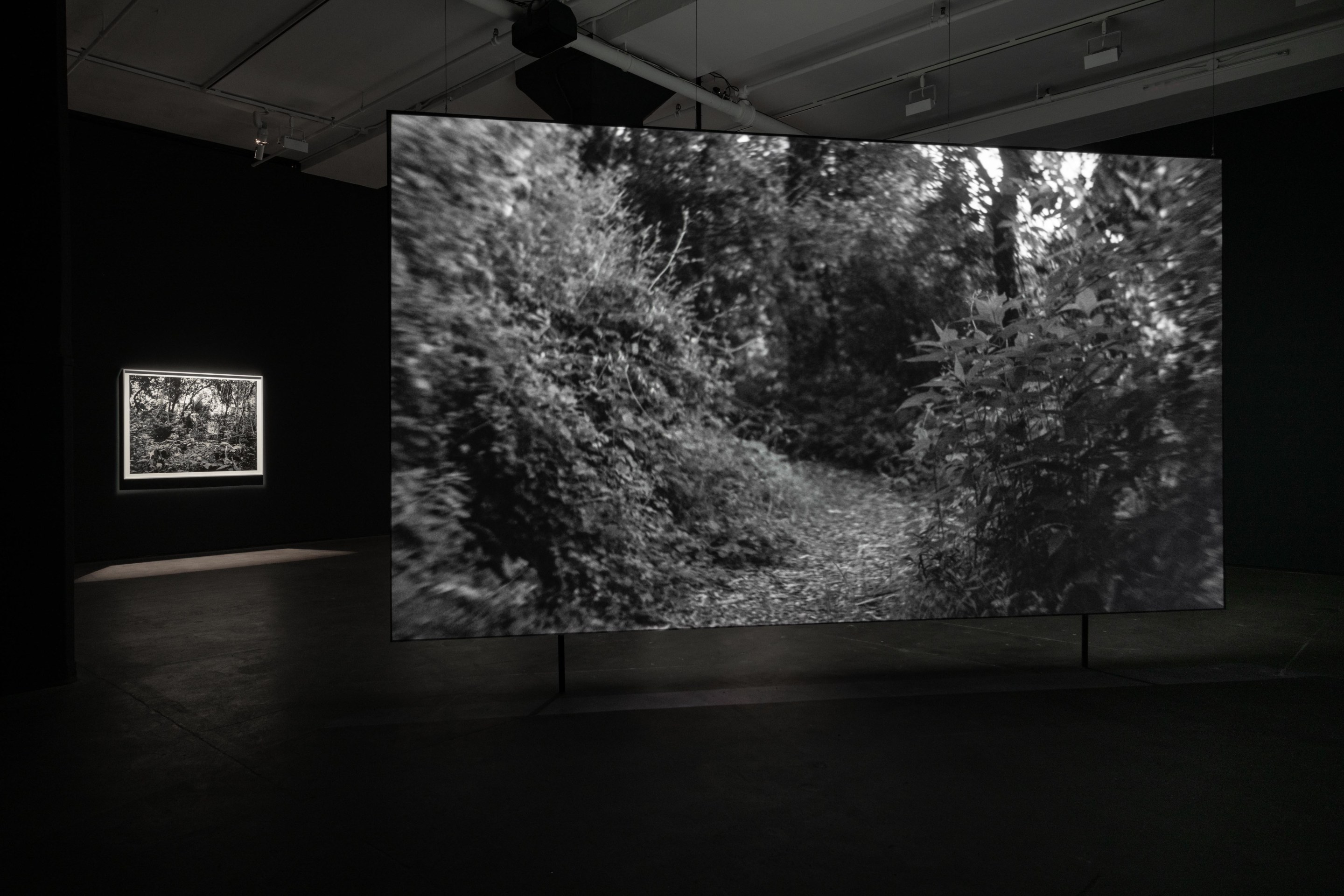 Installation view of Dawoud Bey: Stony the Road at Sean Kelly, New York, January 10 – February 22, 2025, Photography: Adam Reich, Courtesy: Sean Kelly, New York/Los Angeles