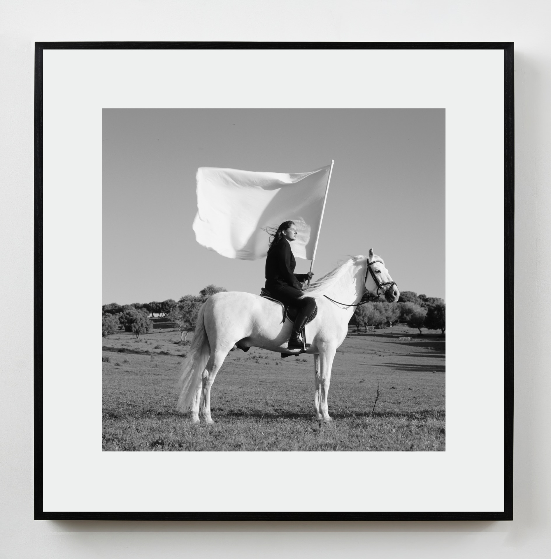 Marina Abramovic Sean Kelly Gallery