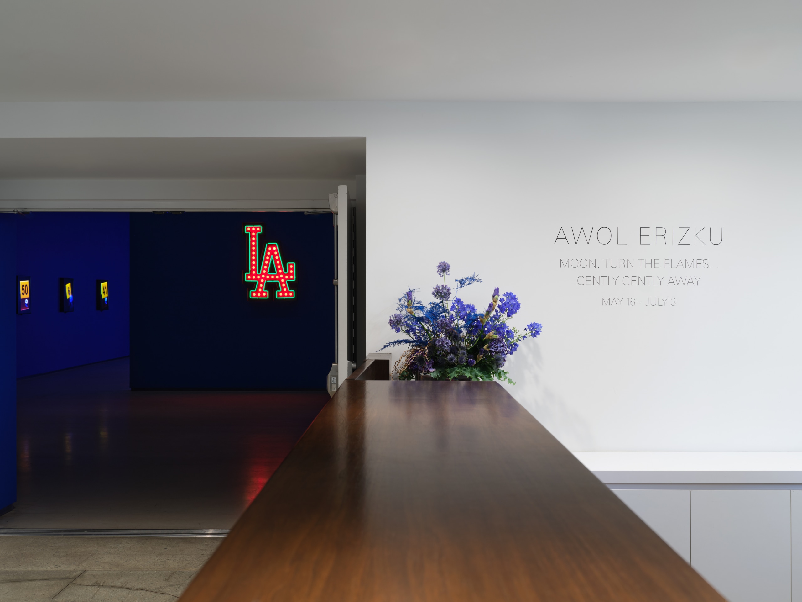 Installation view of&nbsp;Awol Erizku: Moon, Turn the Flames&hellip;Gently Gently Away at Sean Kelly, Los Angeles, May 16 &ndash; July 3, 2025, Photography: Brica Wilcox, Courtesy: Sean Kelly, New York/Los Angeles