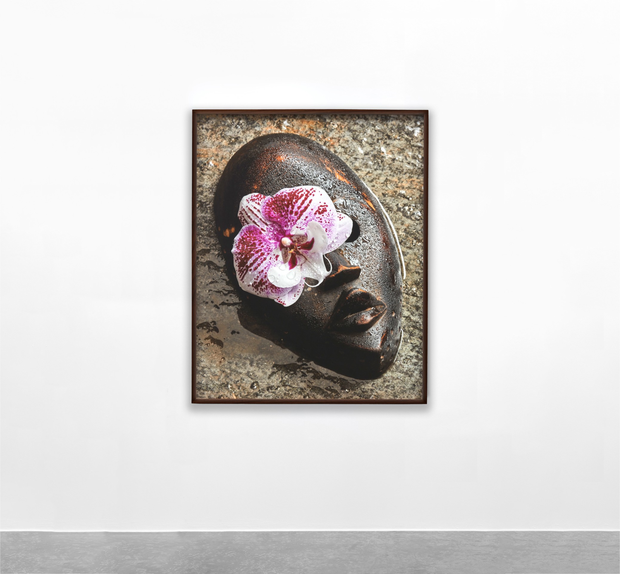 Awol Erizku, Figi, 2021-2023