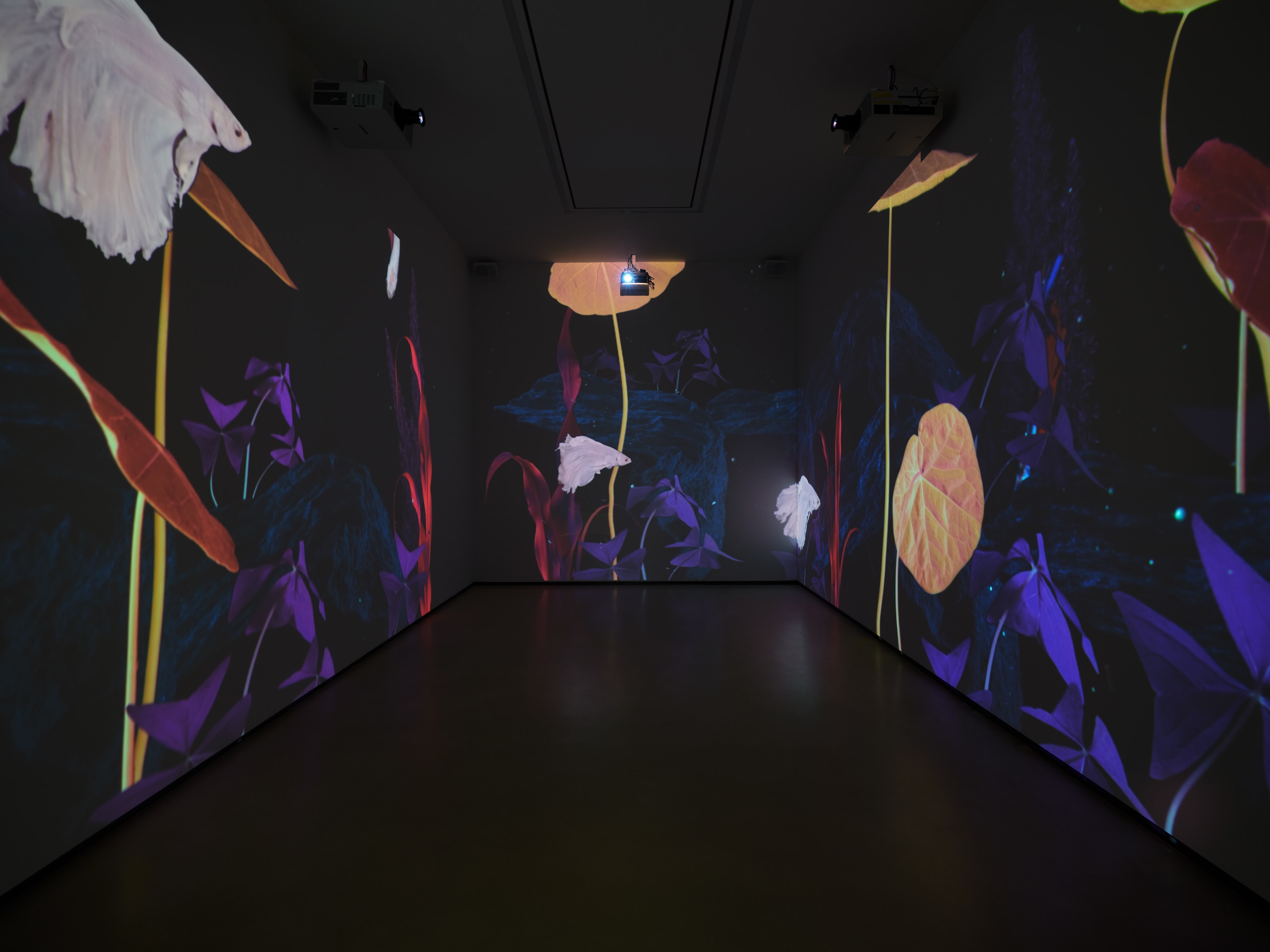 Installation view of Ground Work curated by Joey Lico at Sean Kelly, Los Angeles, July 17 &ndash; August 30, 2025, Photography: Brica Wilcox, Courtesy: Sean Kelly, New York/Los Angeles