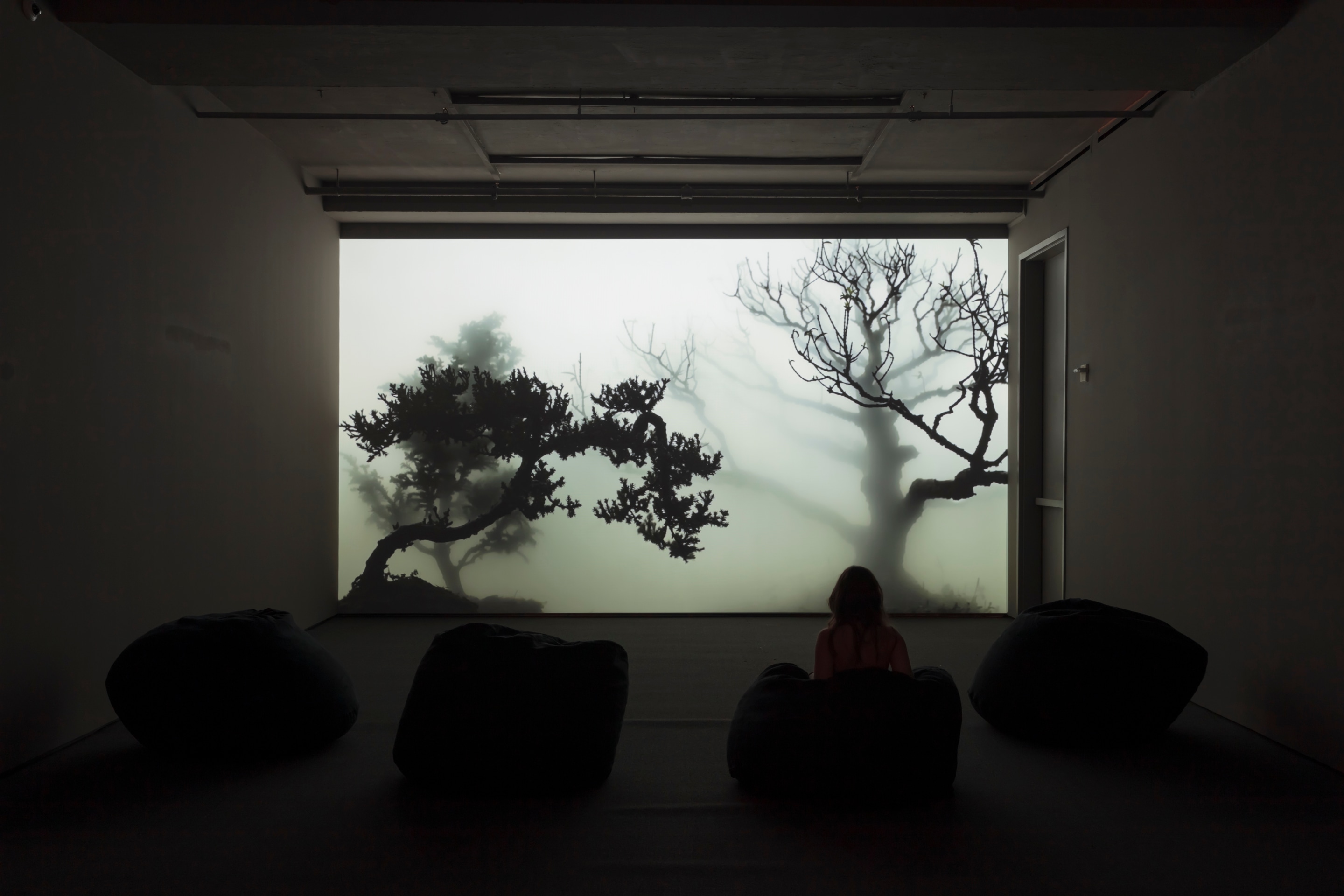 Installation view of&nbsp;Abstract by Nature&nbsp;at Sean Kelly, New York, June 28 - August 2, 2019