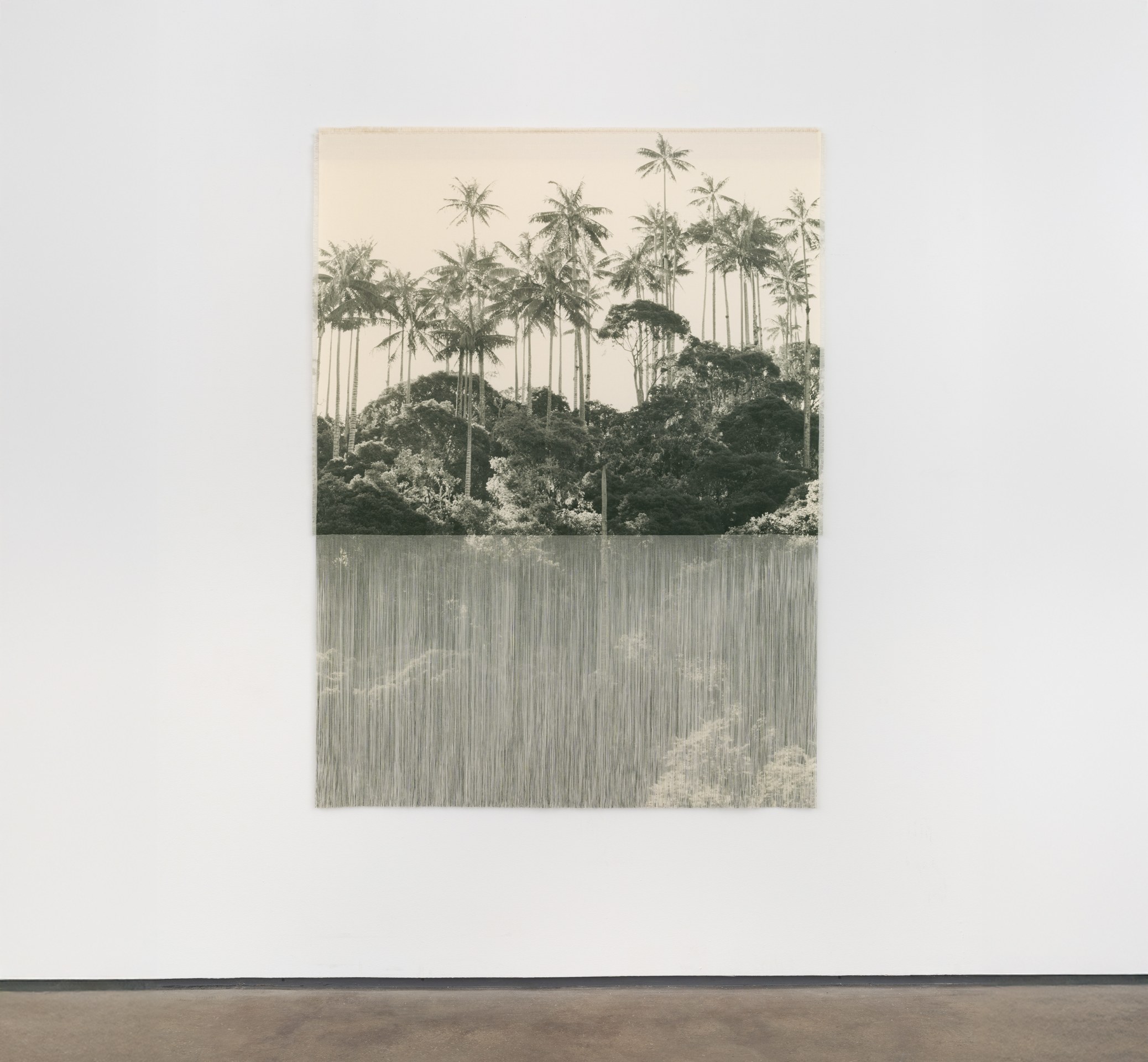 Ana Gonz&aacute;lez, ZUE II (BOSQUE), 2025