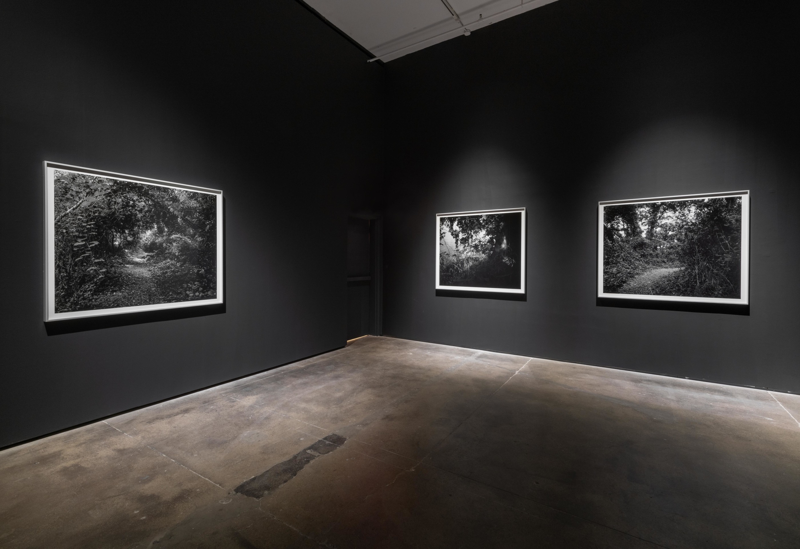 Installation view of Dawoud Bey: Stony the Road at Sean Kelly, New York, January 10 – February 22, 2025, Photography: Adam Reich, Courtesy: Sean Kelly, New York/Los Angeles